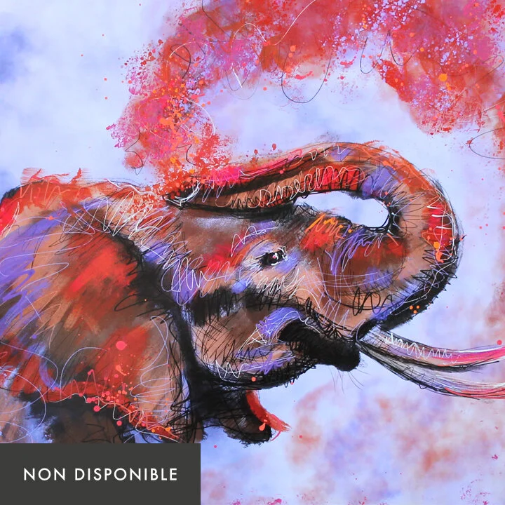 baindecouleurs-nondisponible.jpg