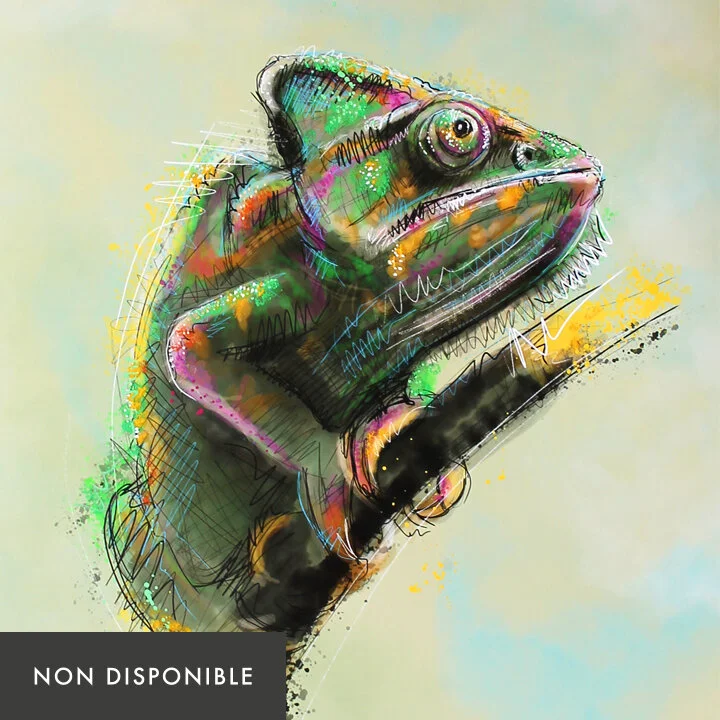 camouflage-nondisponible.jpg