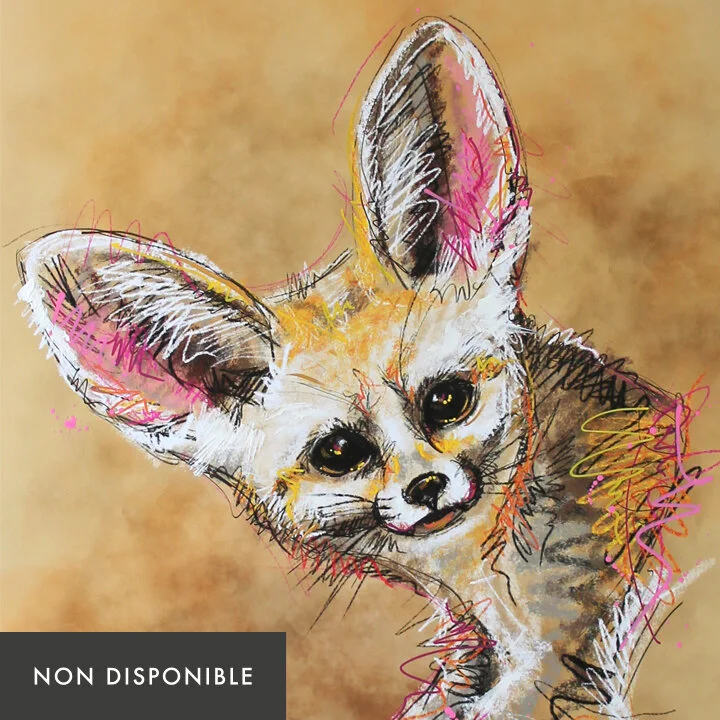 ecoute-nondisponible.jpg