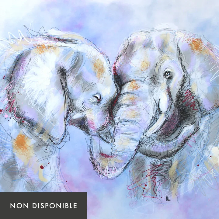 merefille-nondisponible.jpg