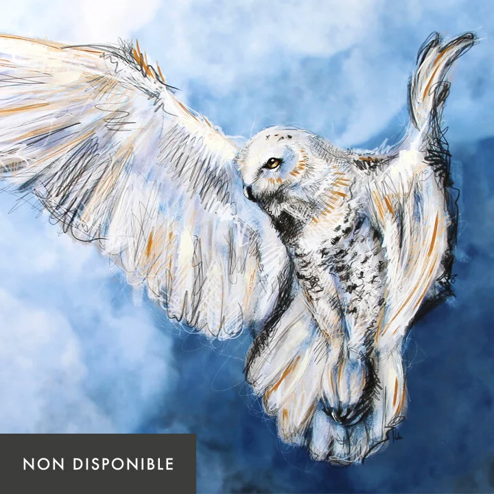 ombre-lumiere-nondisponible.jpg