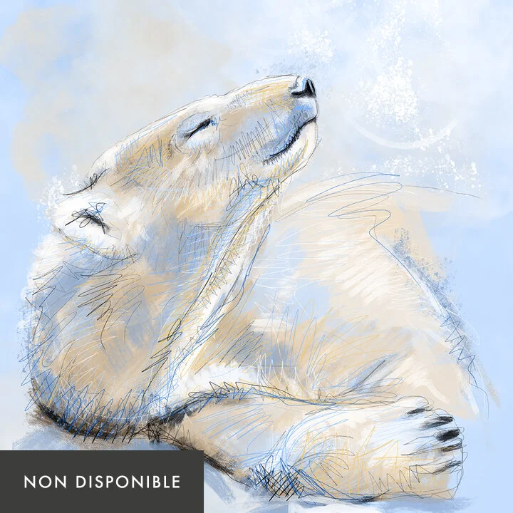 serenite-nondisponible.jpg