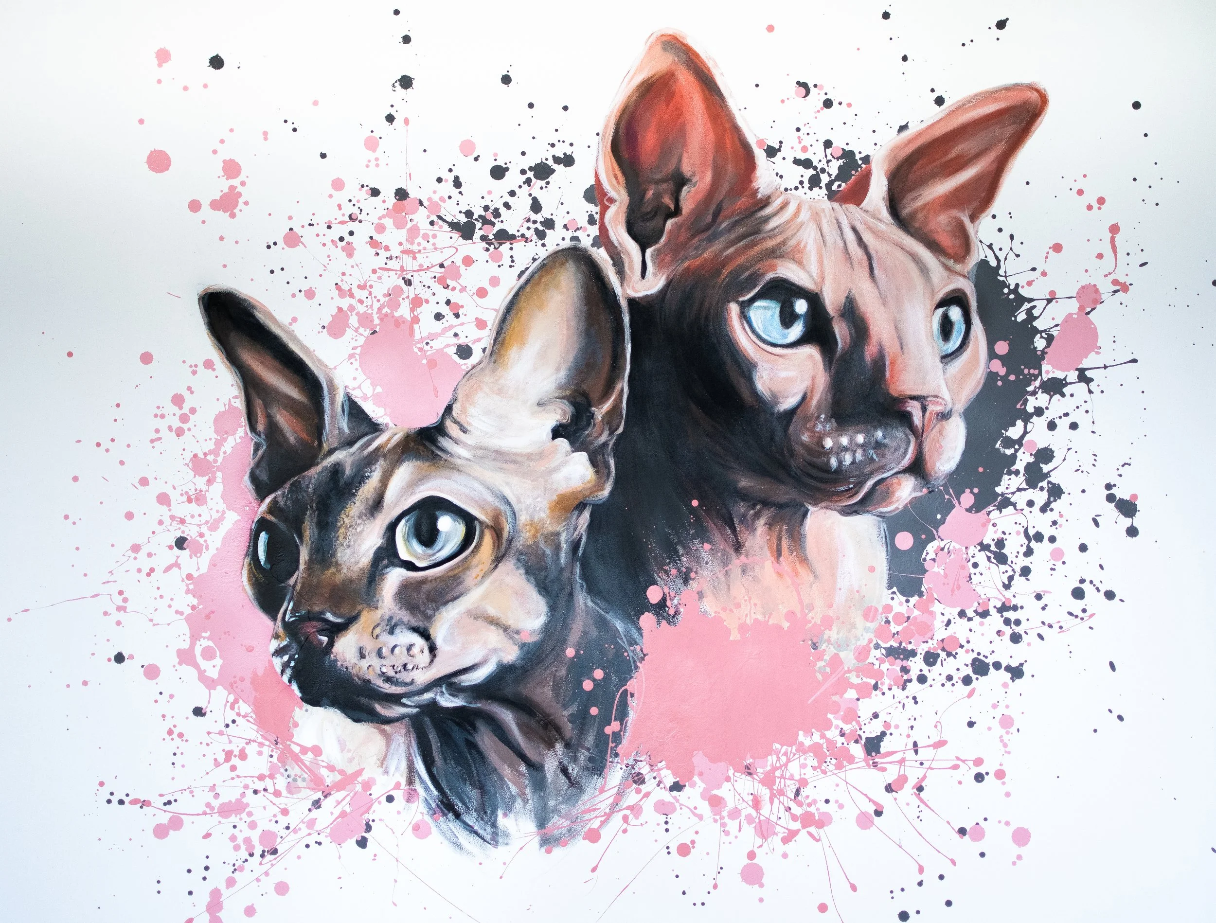 18-SPHYNX-2.jpg