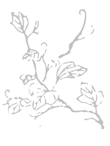 alt_branch.jpg