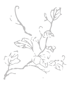 alt_branch_R.jpg