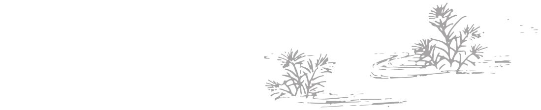 reeds.jpg
