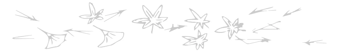maple_banner_gray.jpg