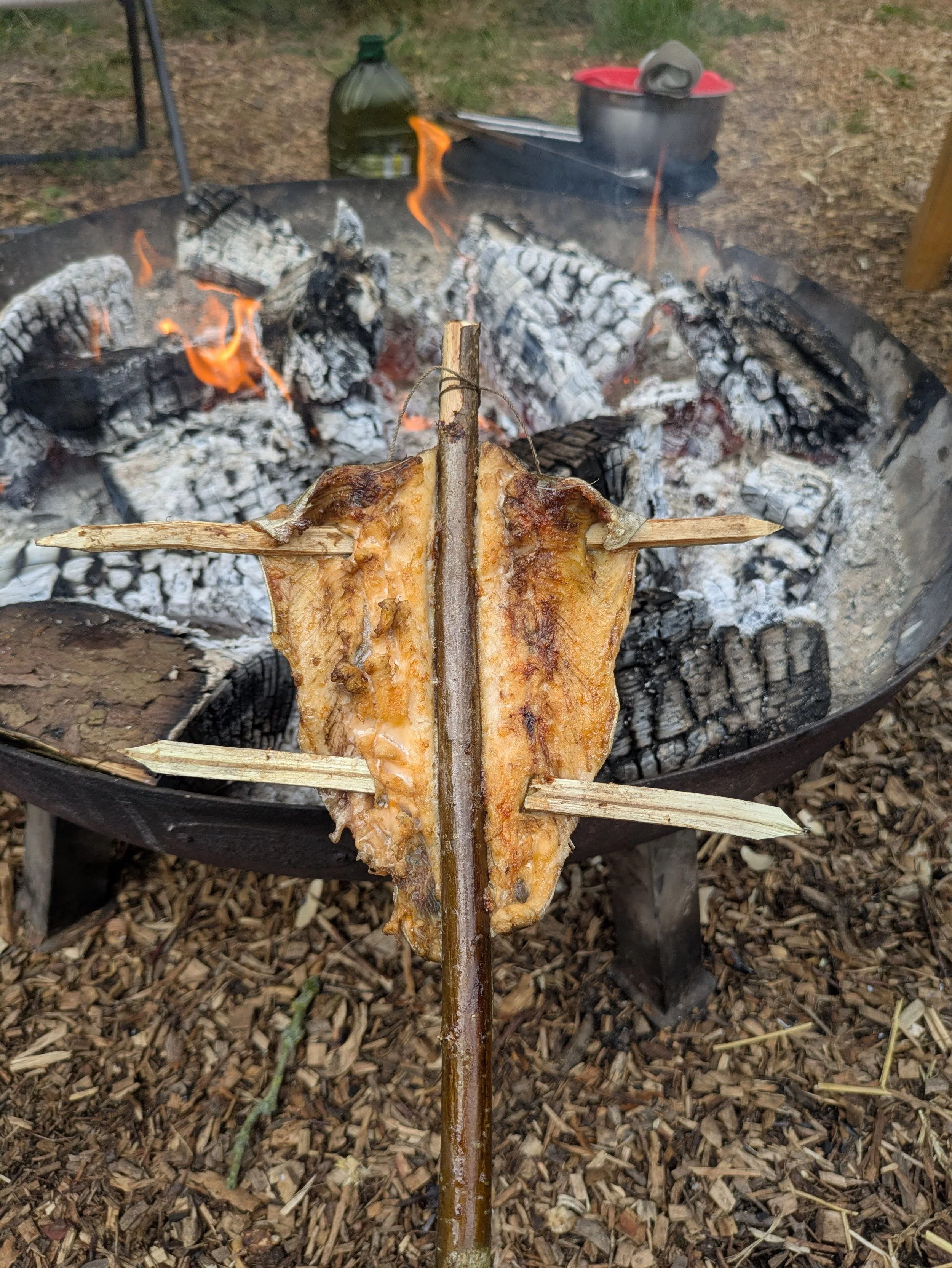Cooking a fish over the fire