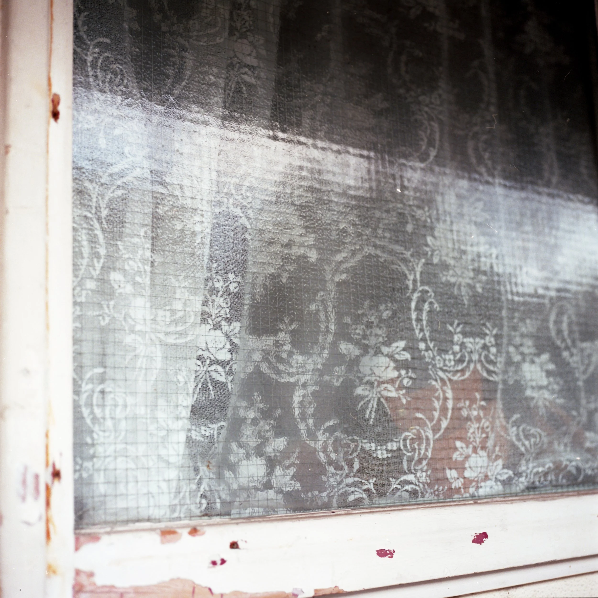 CZ_20220419_0067 copy.jpeg