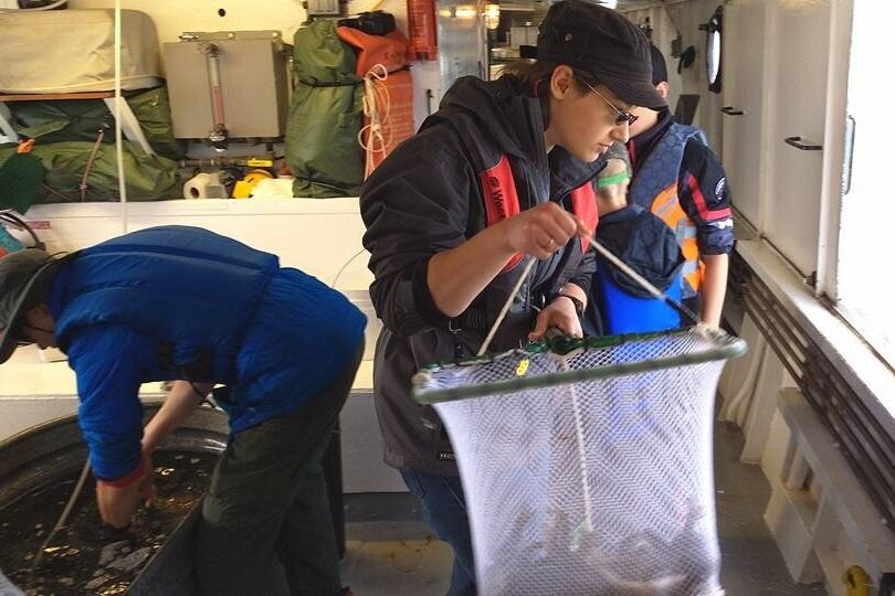 Stocking Fish in Lake Superior