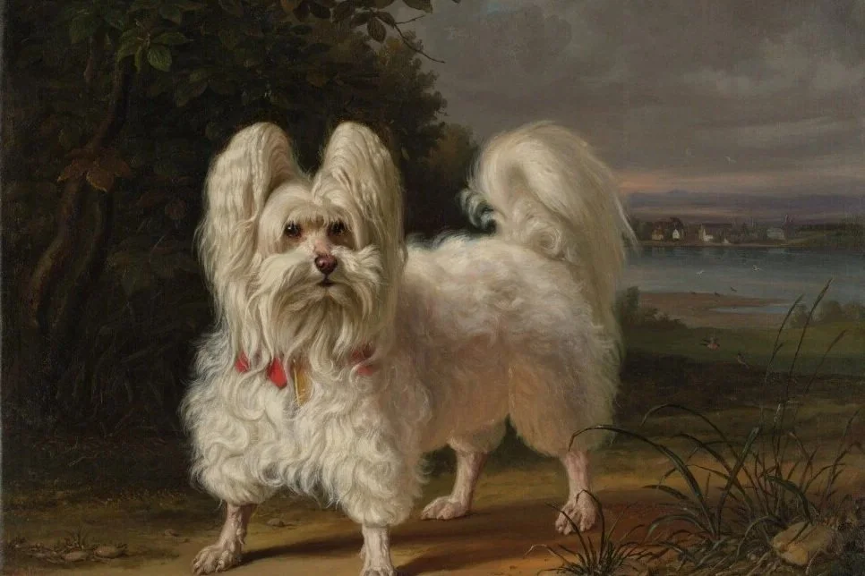 perspectives are tricky