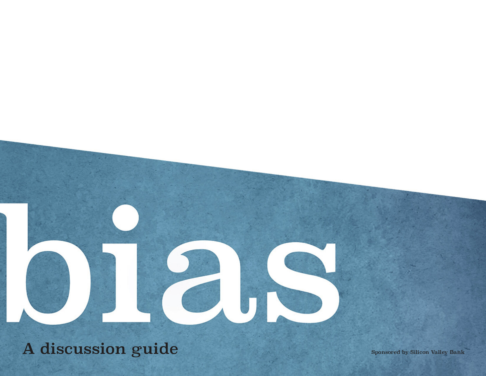 Bias Discussion Guide