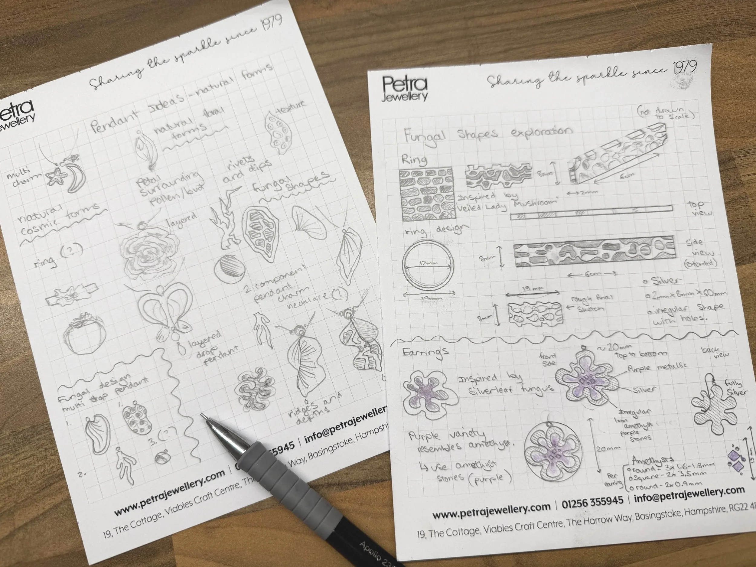 Polly's Work Experience Journey