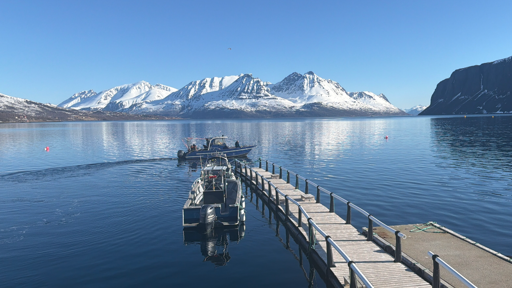 Leadership Lessons from the Arctic