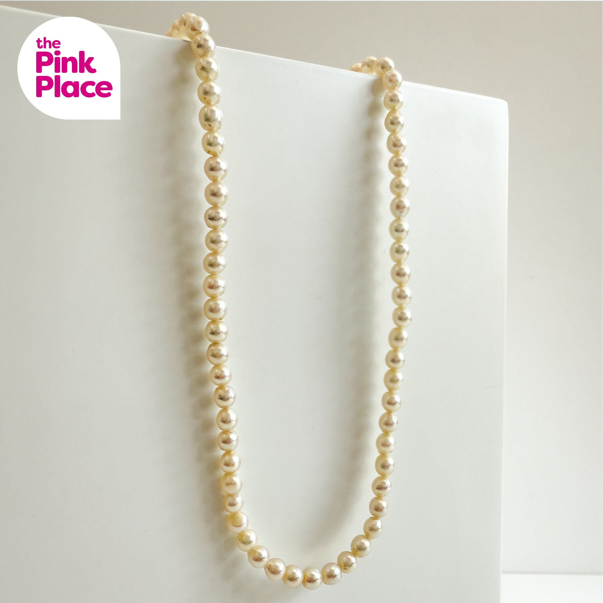 PINK PLACE WATERMARK.png