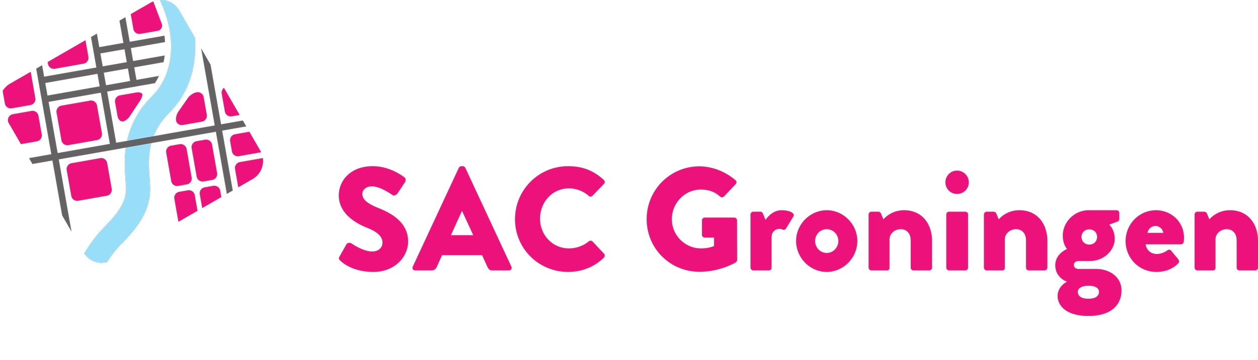 PNG Logo SAC.png
