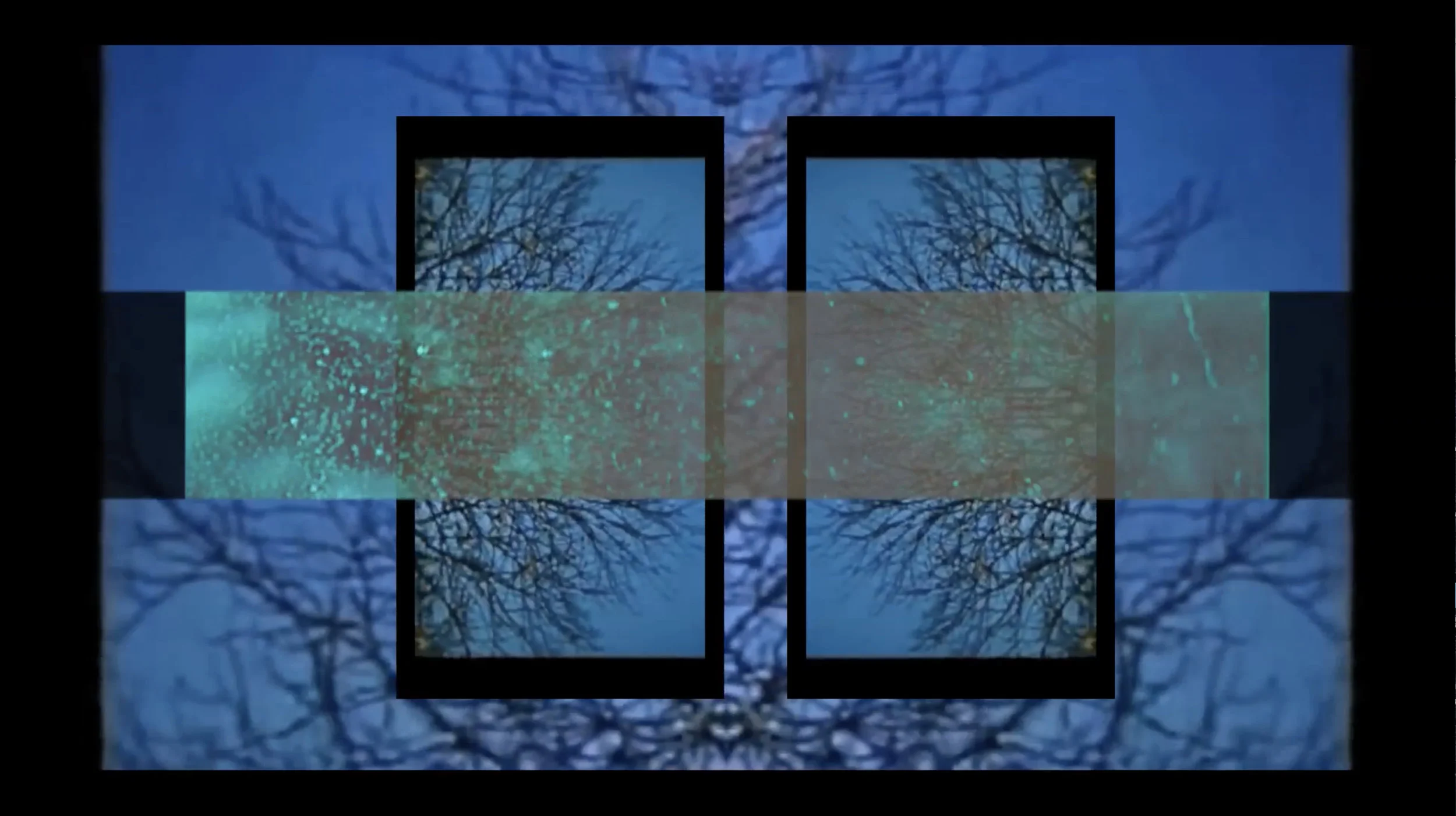vinterträd-still from video. HD 1920-1080. 2017.jpg