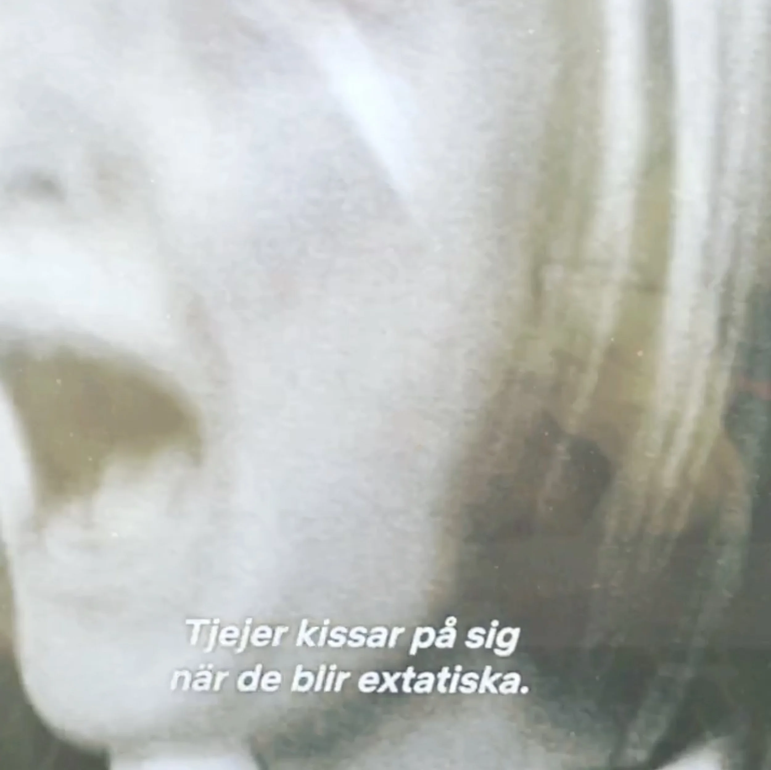 tjejer kissar på sig.jpg