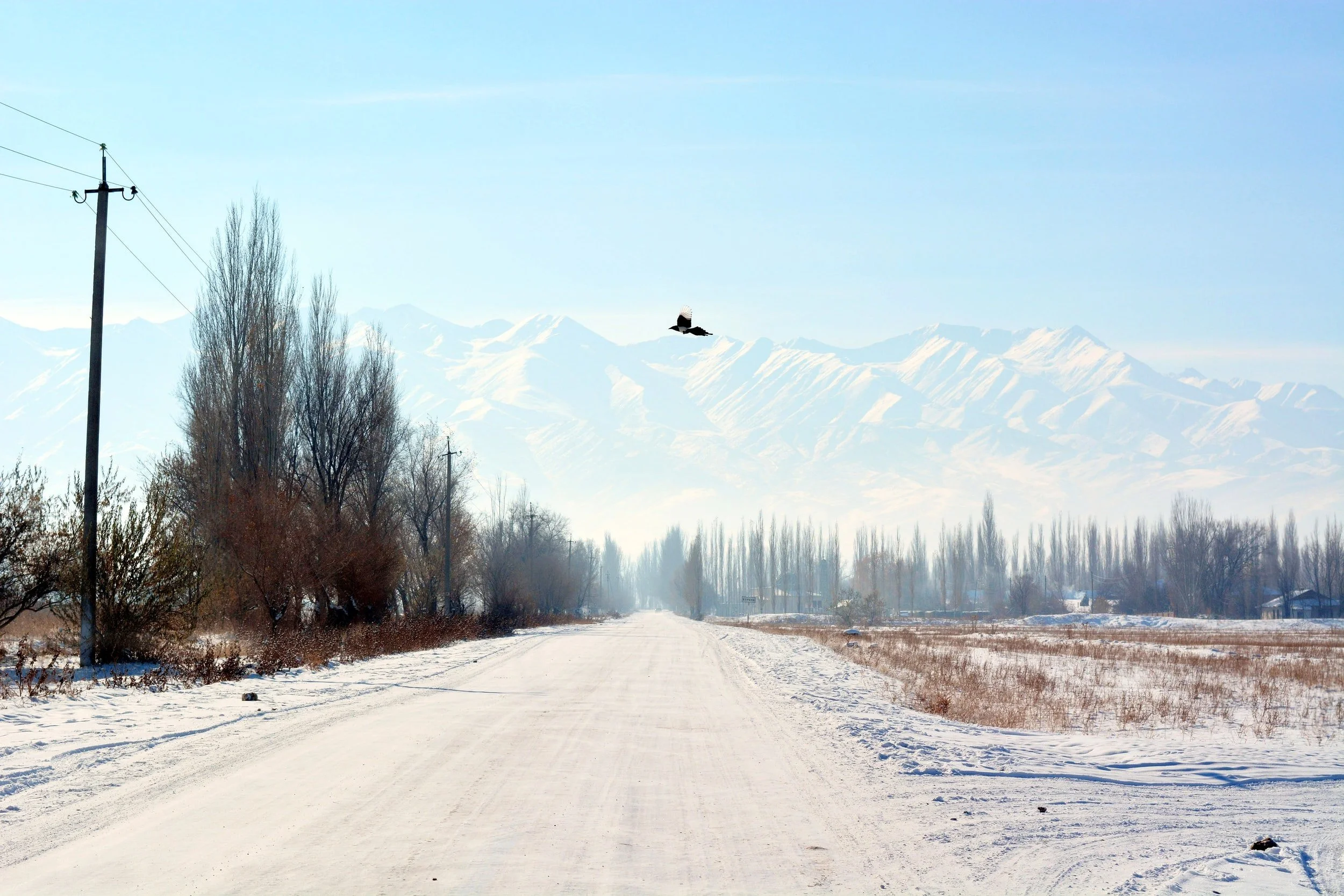 The Emerging Political Economy of OBOR: The Challenges of Promoting Connectivity in Central Asia and Beyond