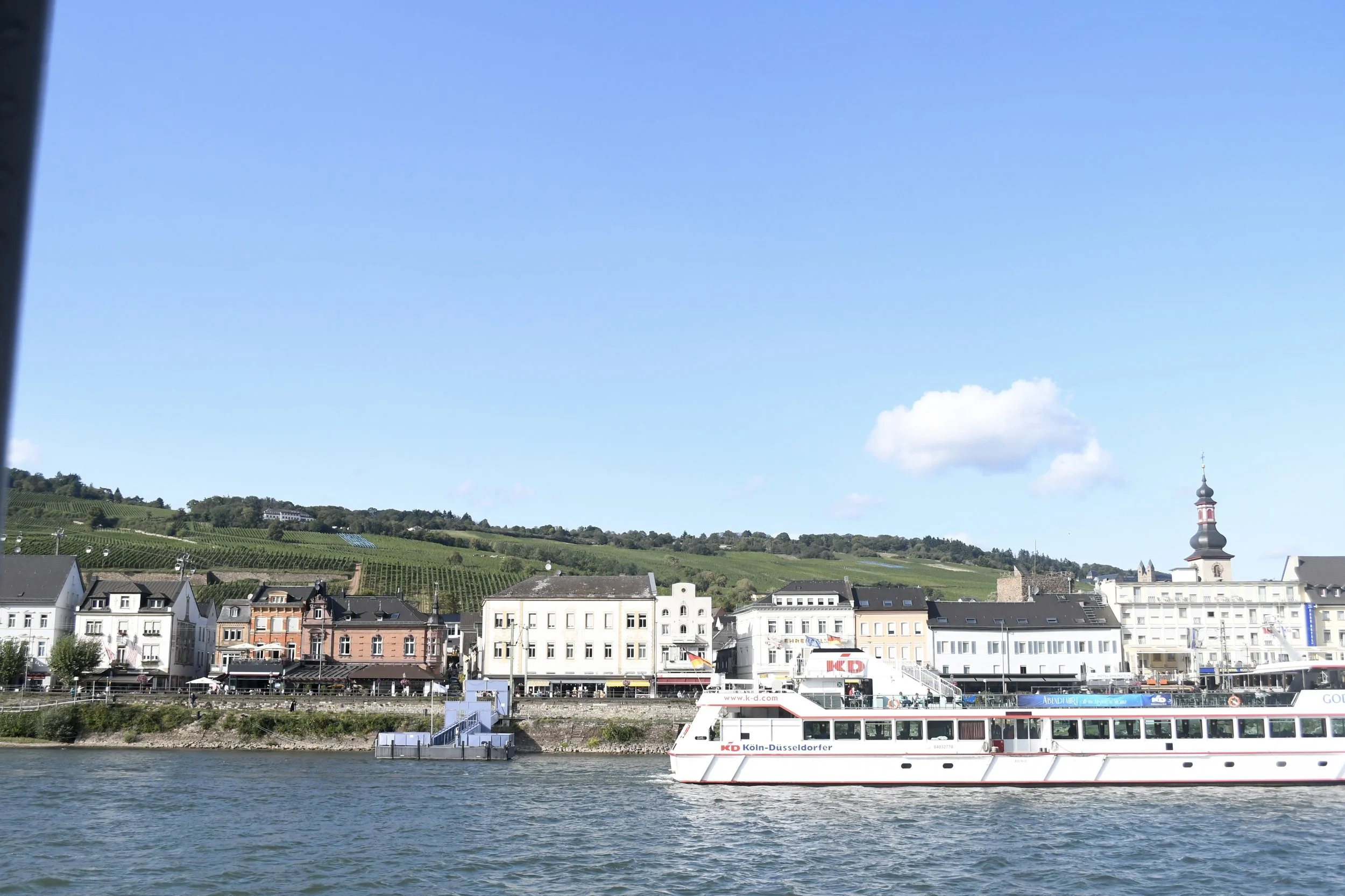 DSC_0799.JPG