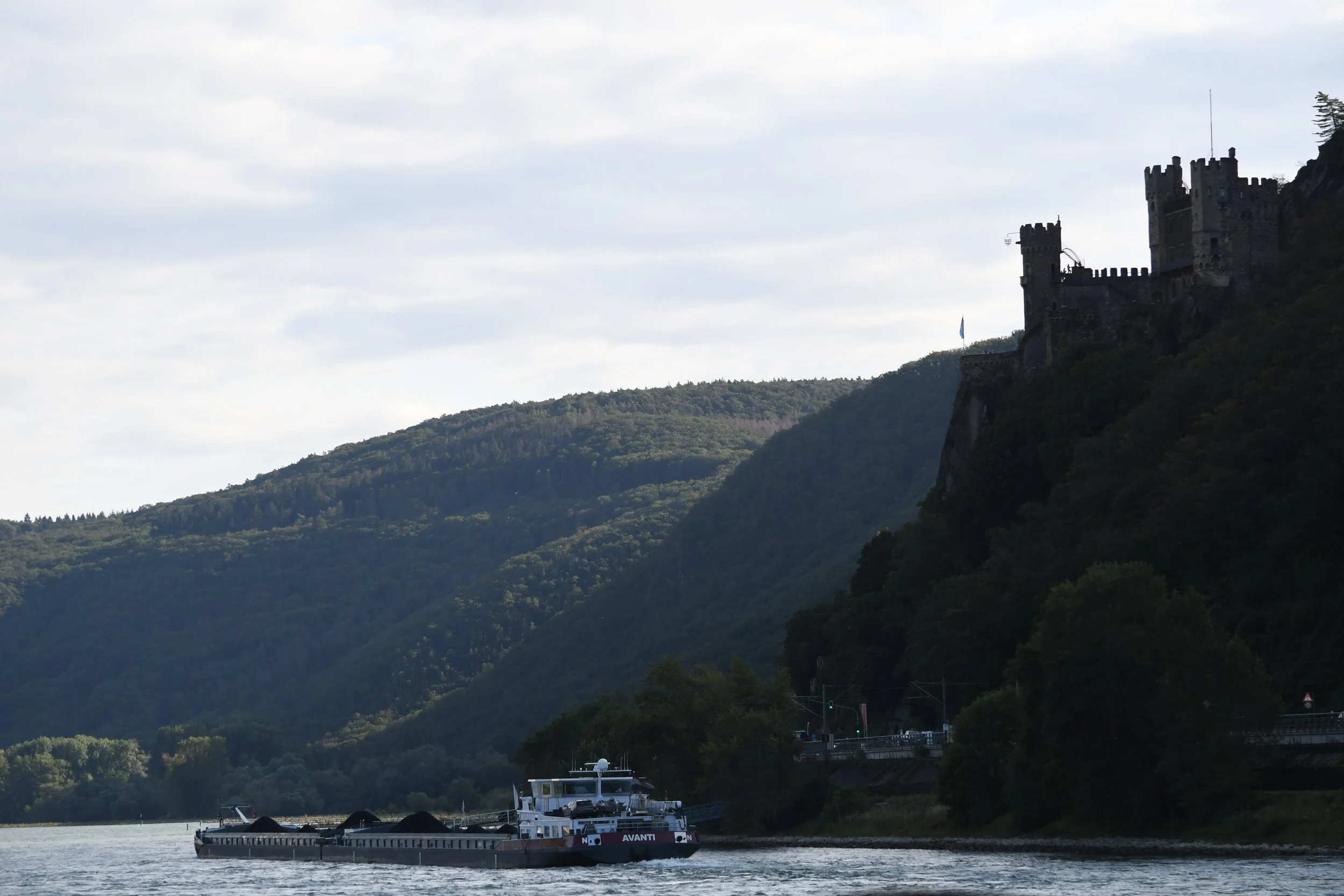 DSC_0822.JPG
