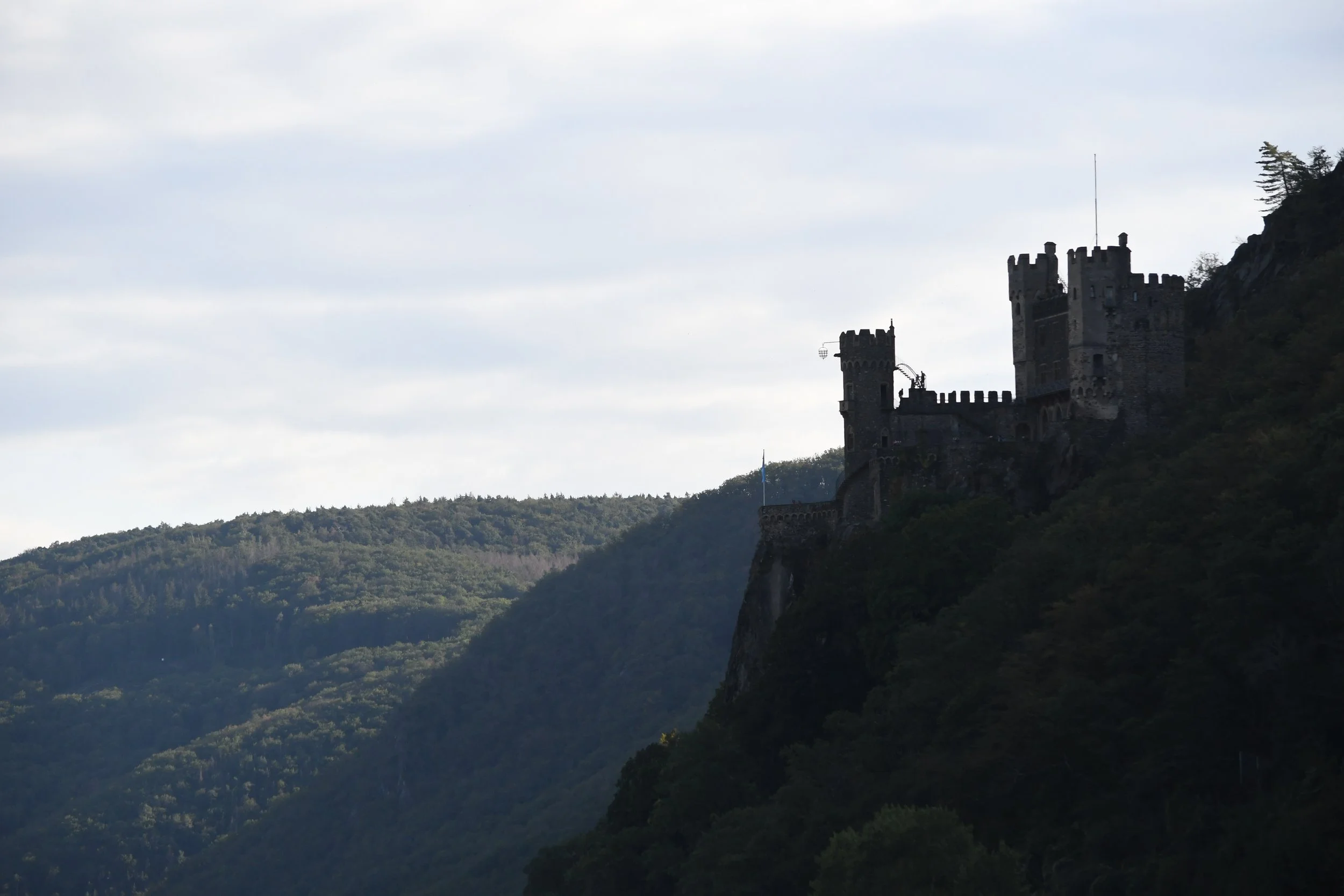 DSC_0823.JPG