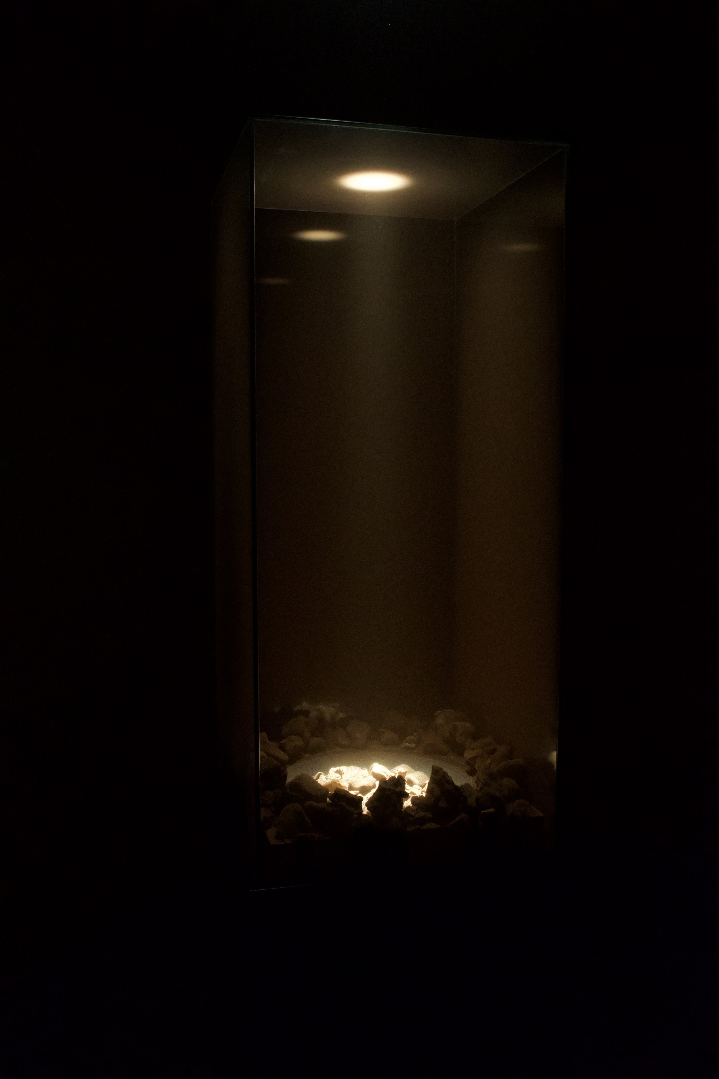 DSC_1997.jpeg