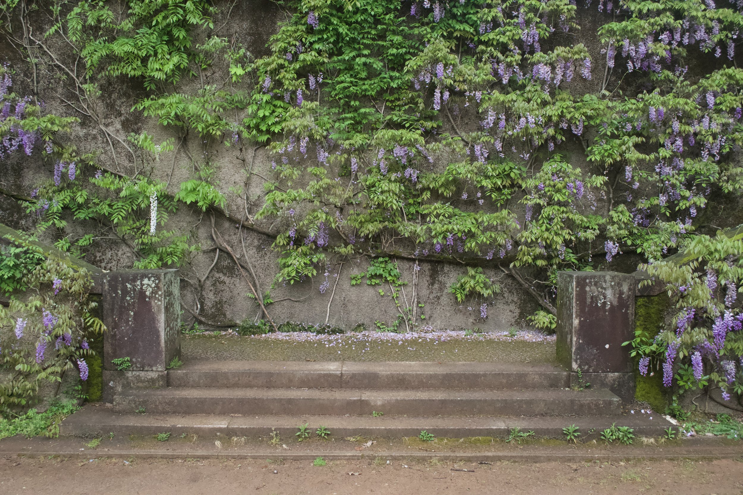DSC_2074.jpeg