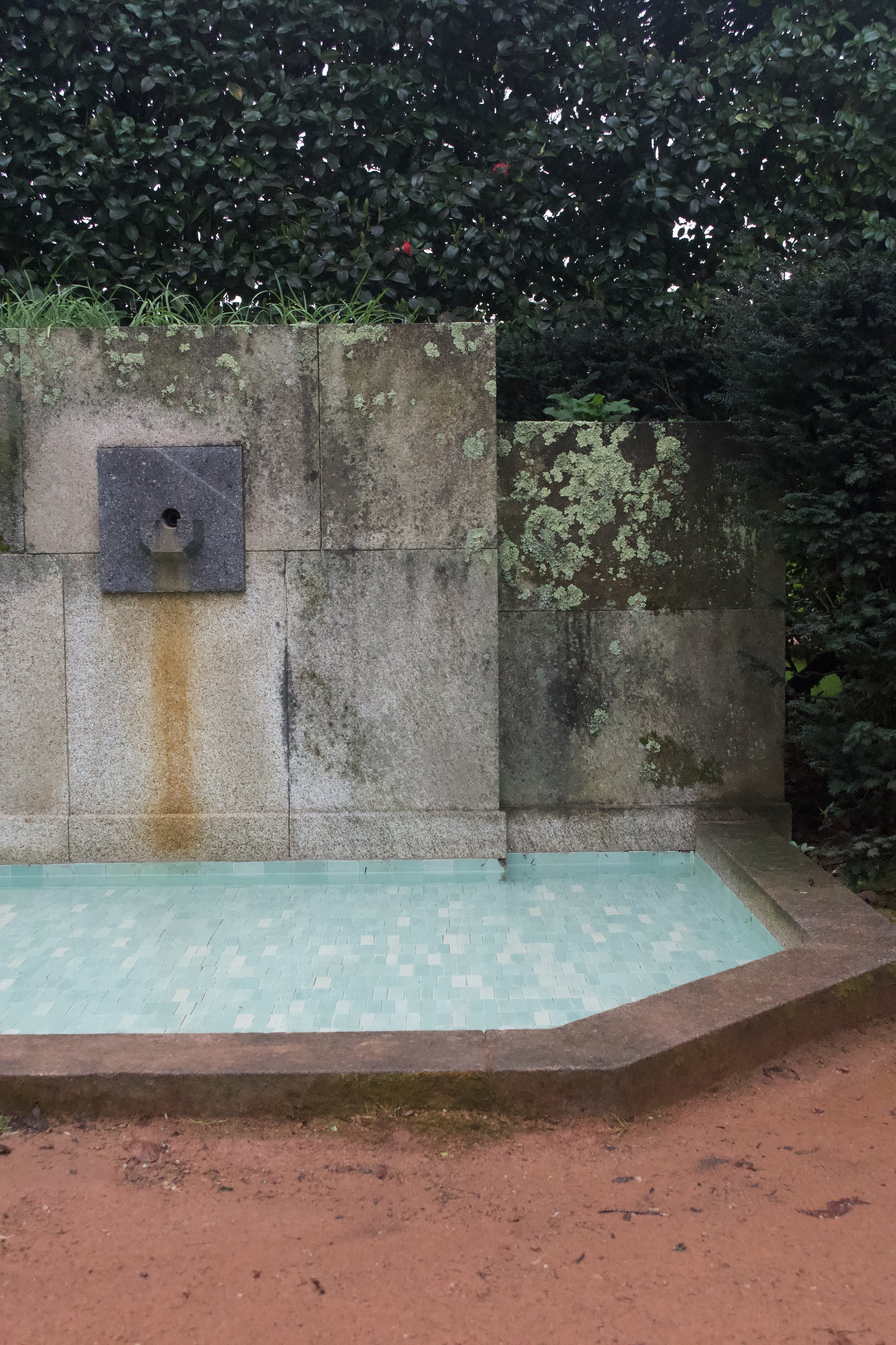 DSC_2031.jpeg