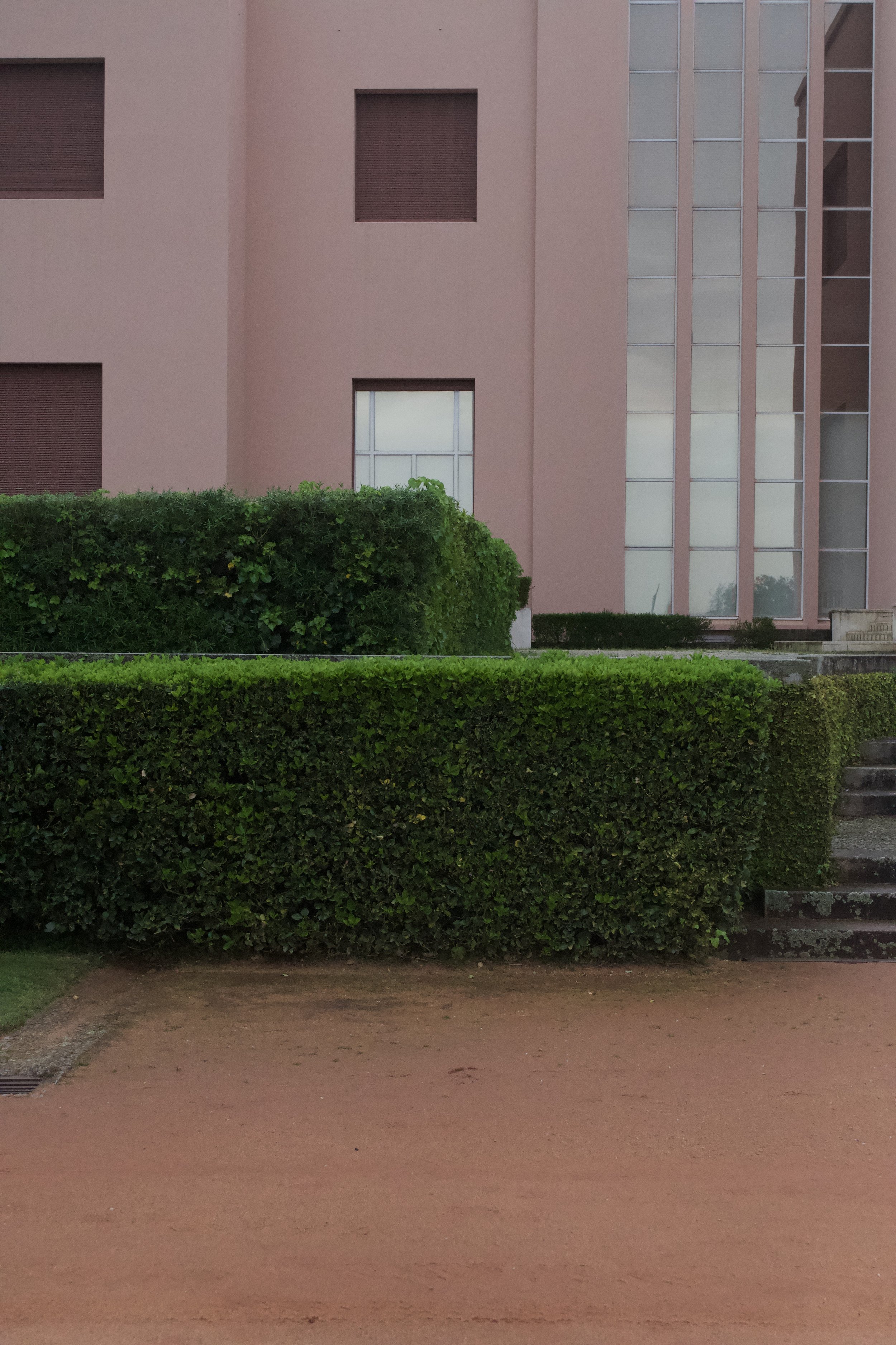 DSC_2027.jpeg