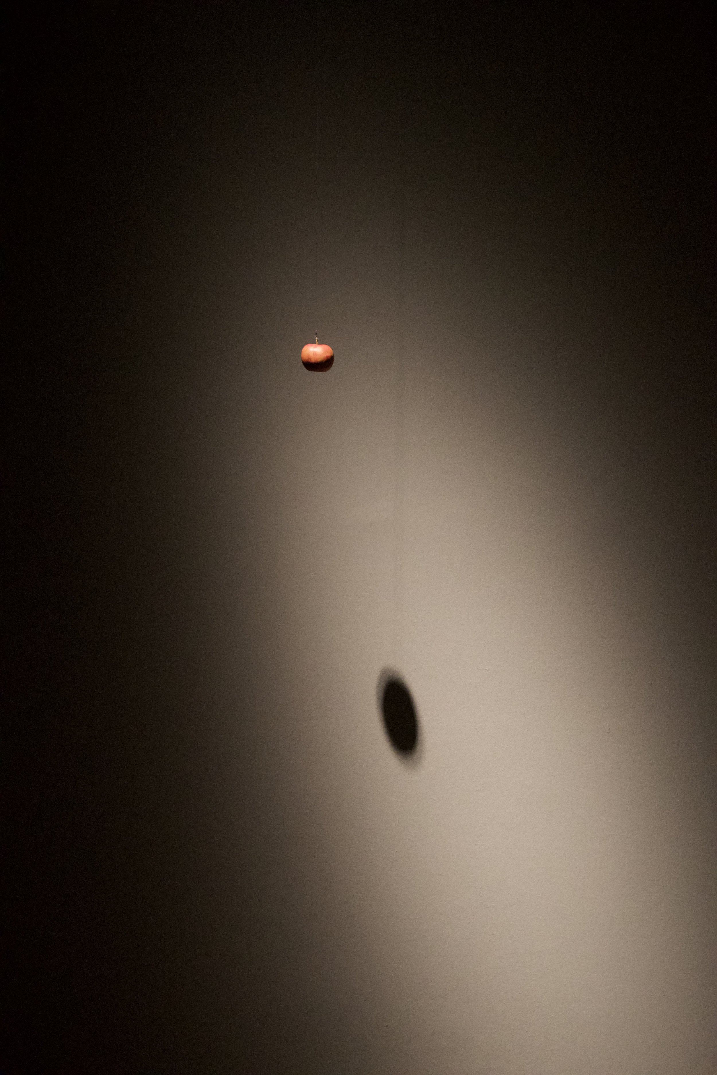 DSC_1924.jpeg
