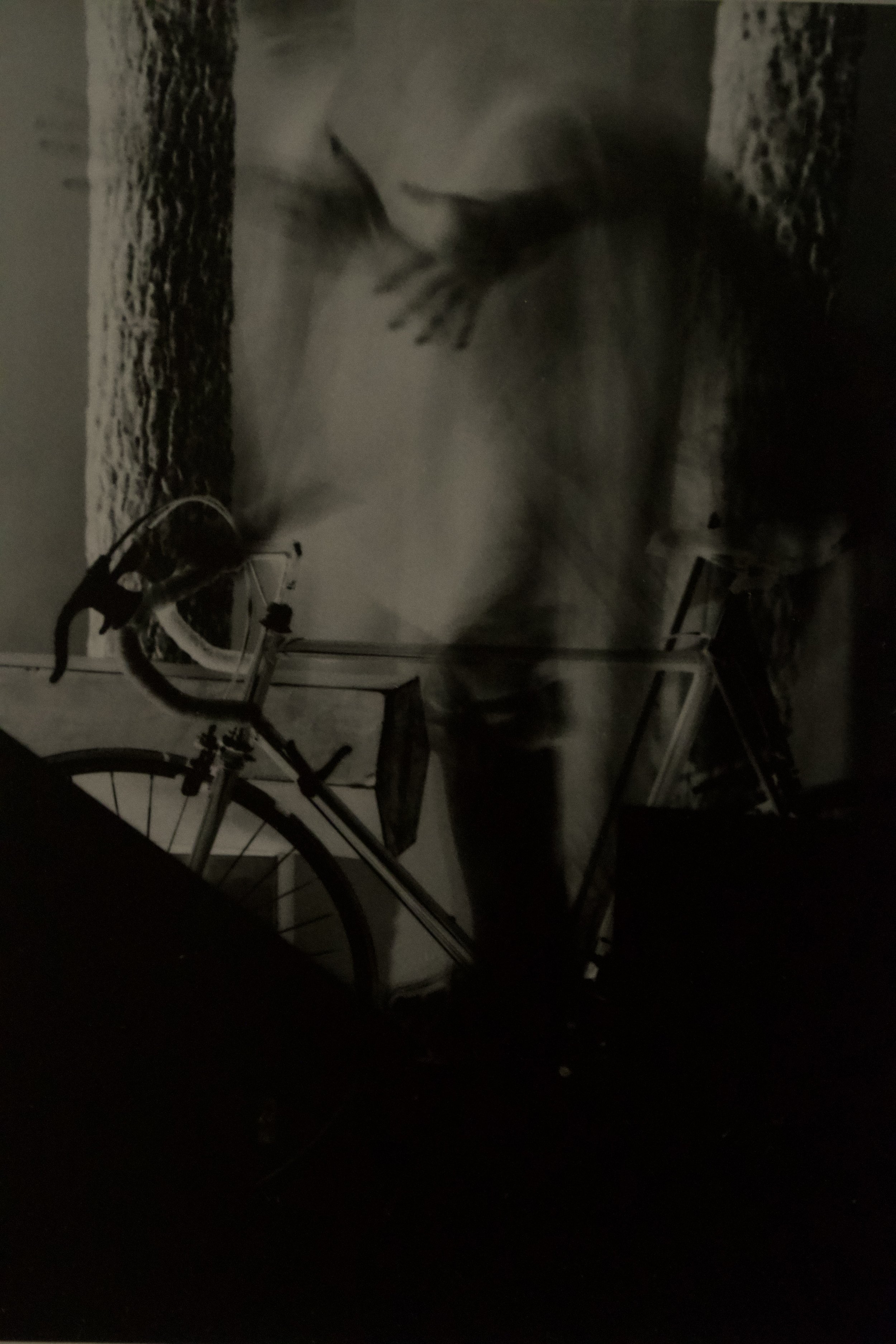 DSC_1890.jpeg