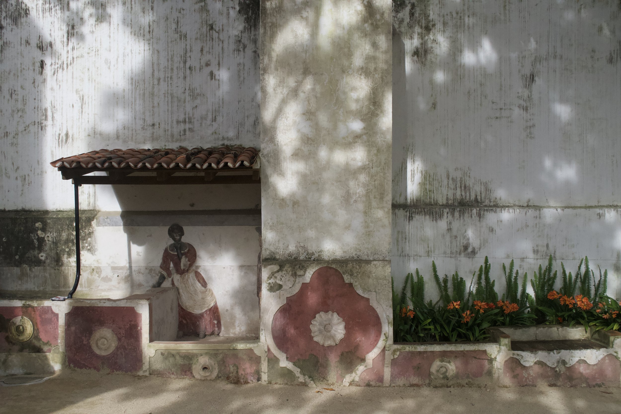 DSC_1736.jpeg