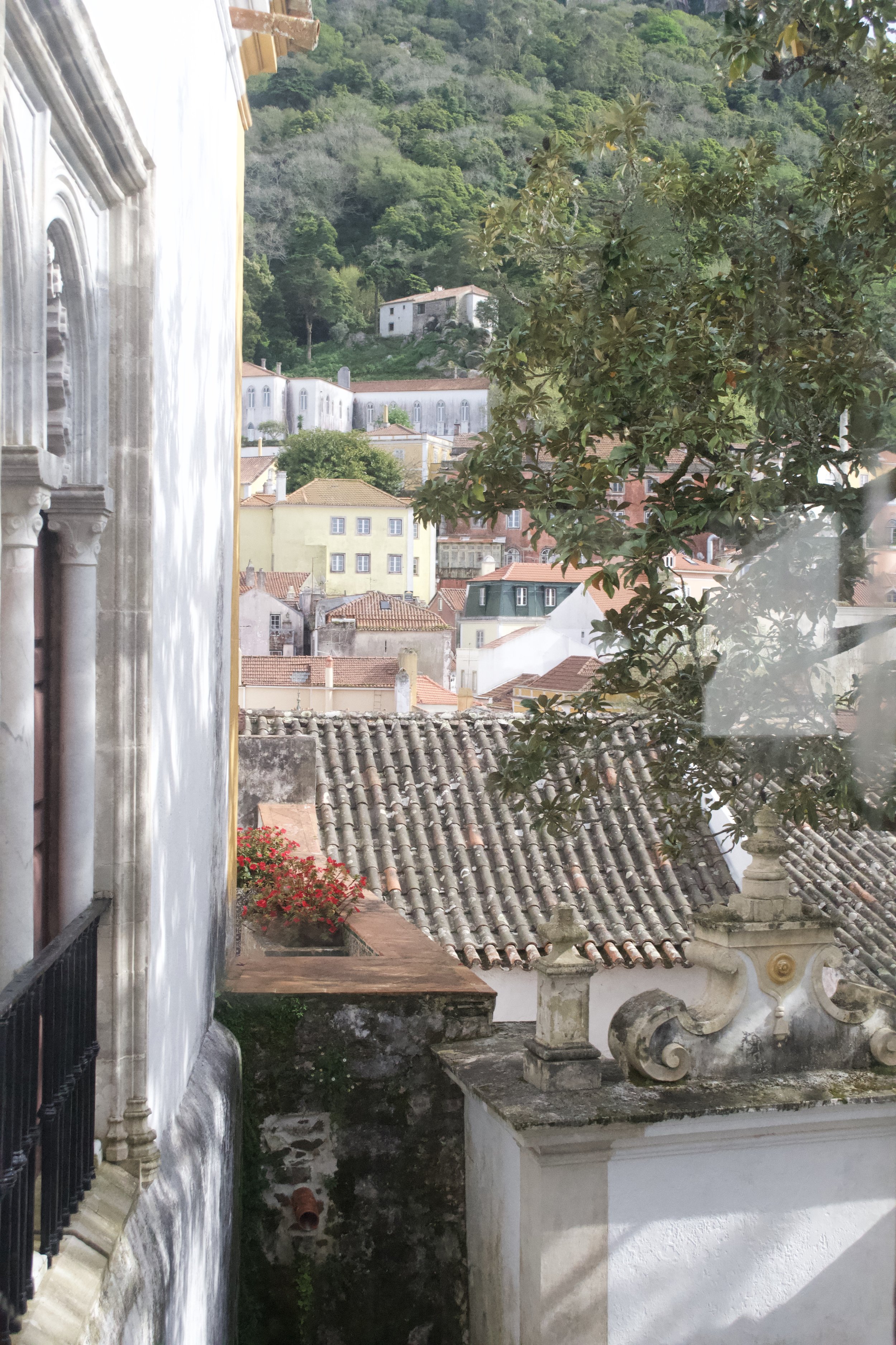 DSC_1676.jpeg