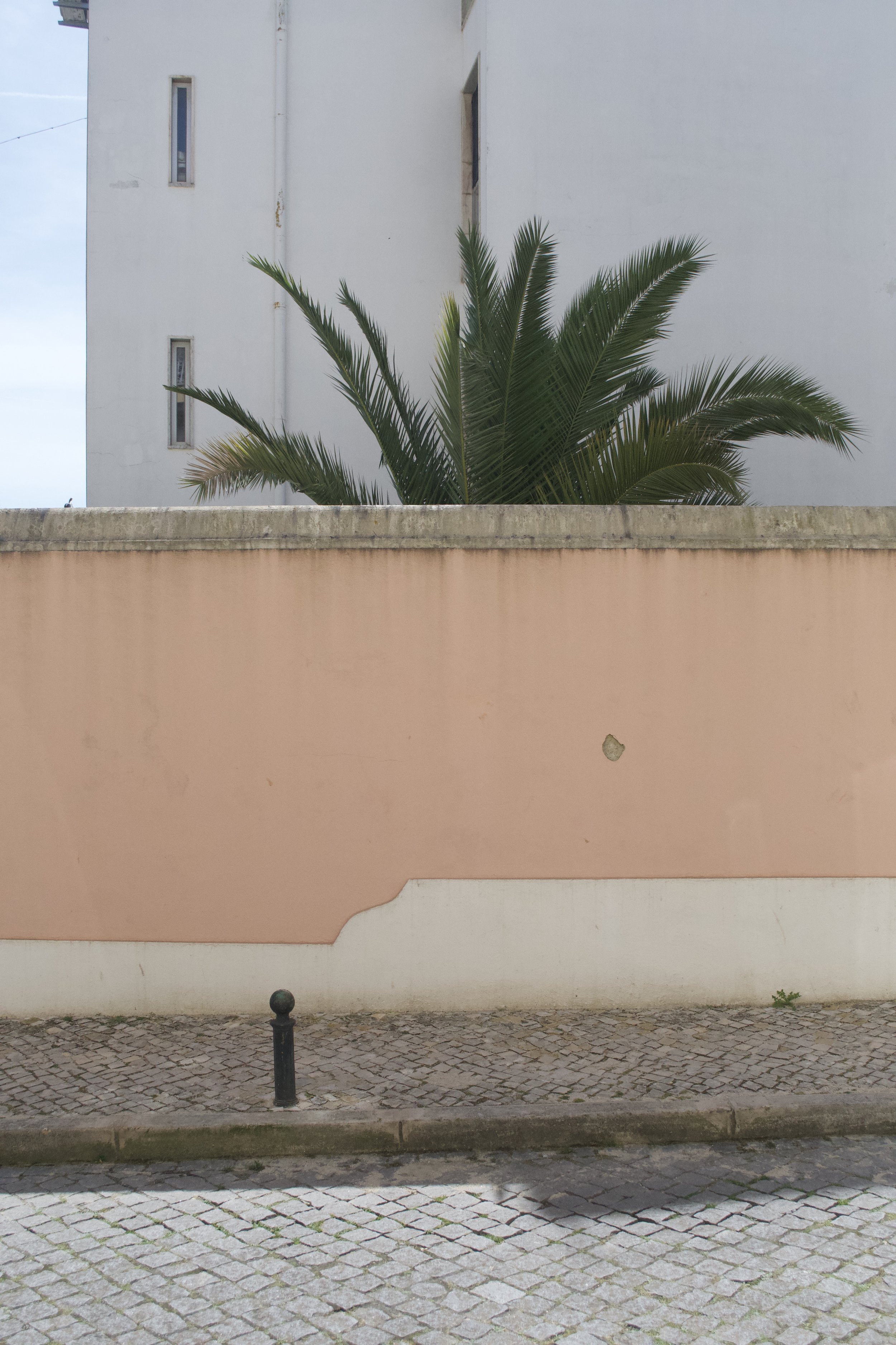 DSC_1484.jpeg