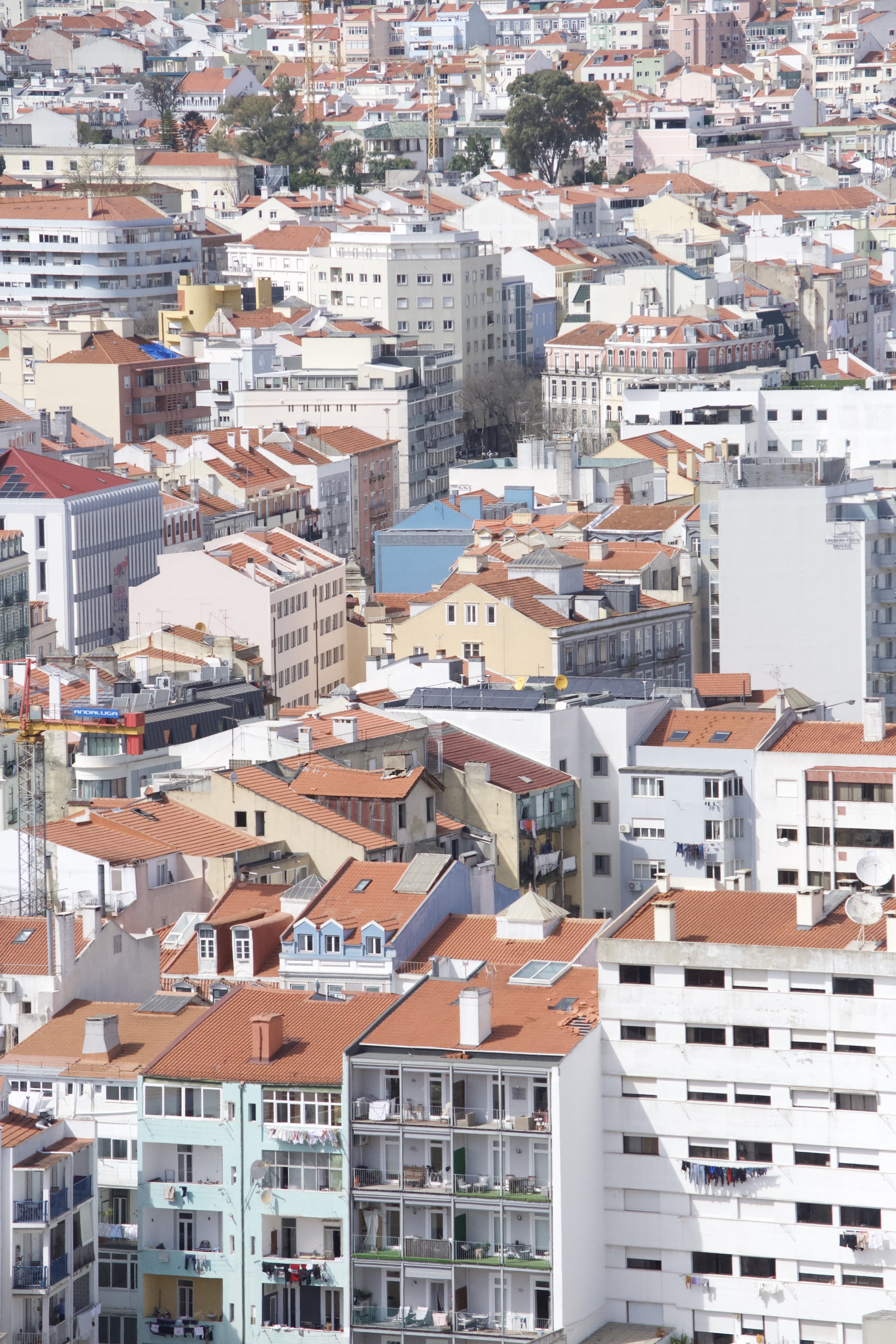 DSC_1539.jpeg