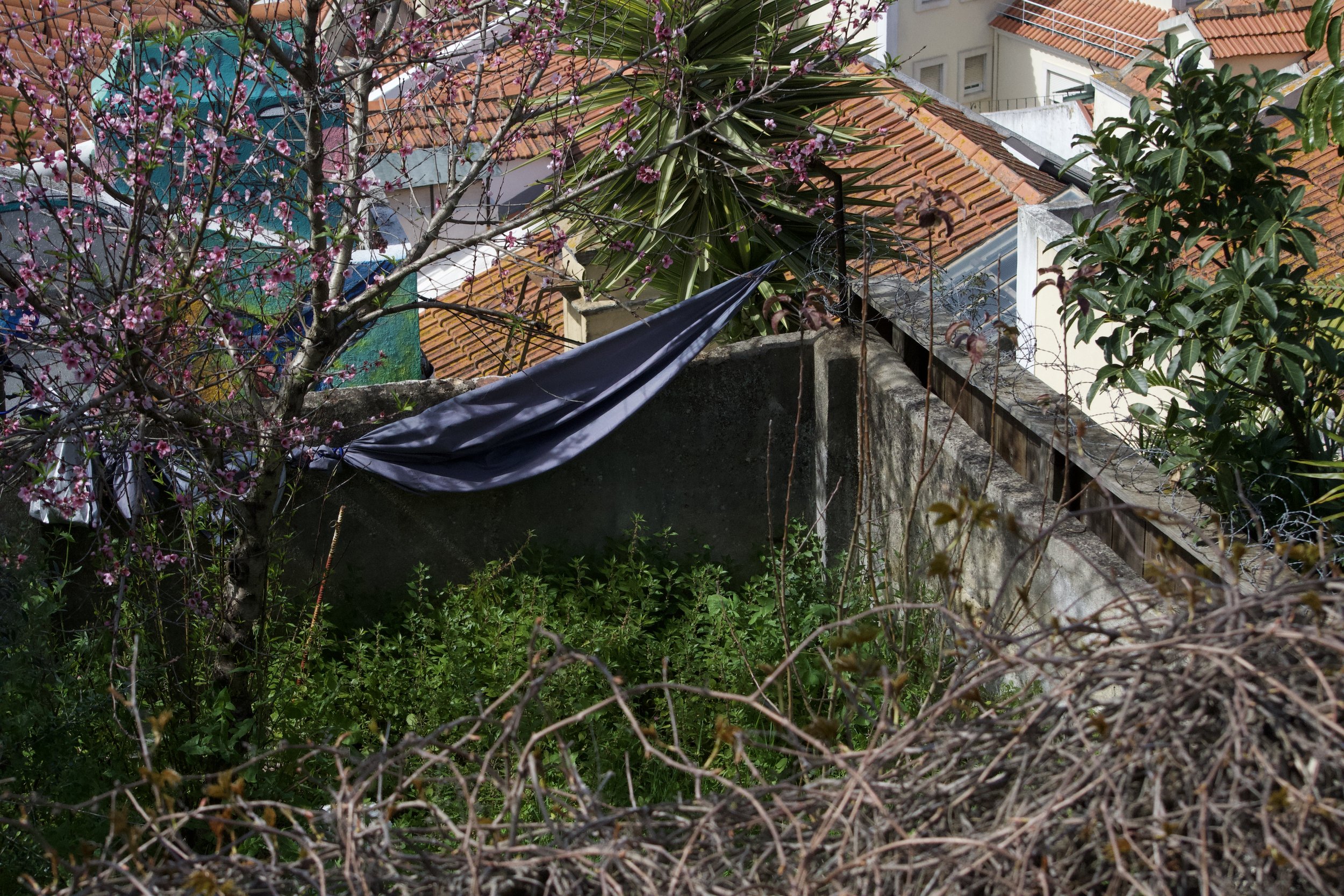 DSC_1545.jpeg