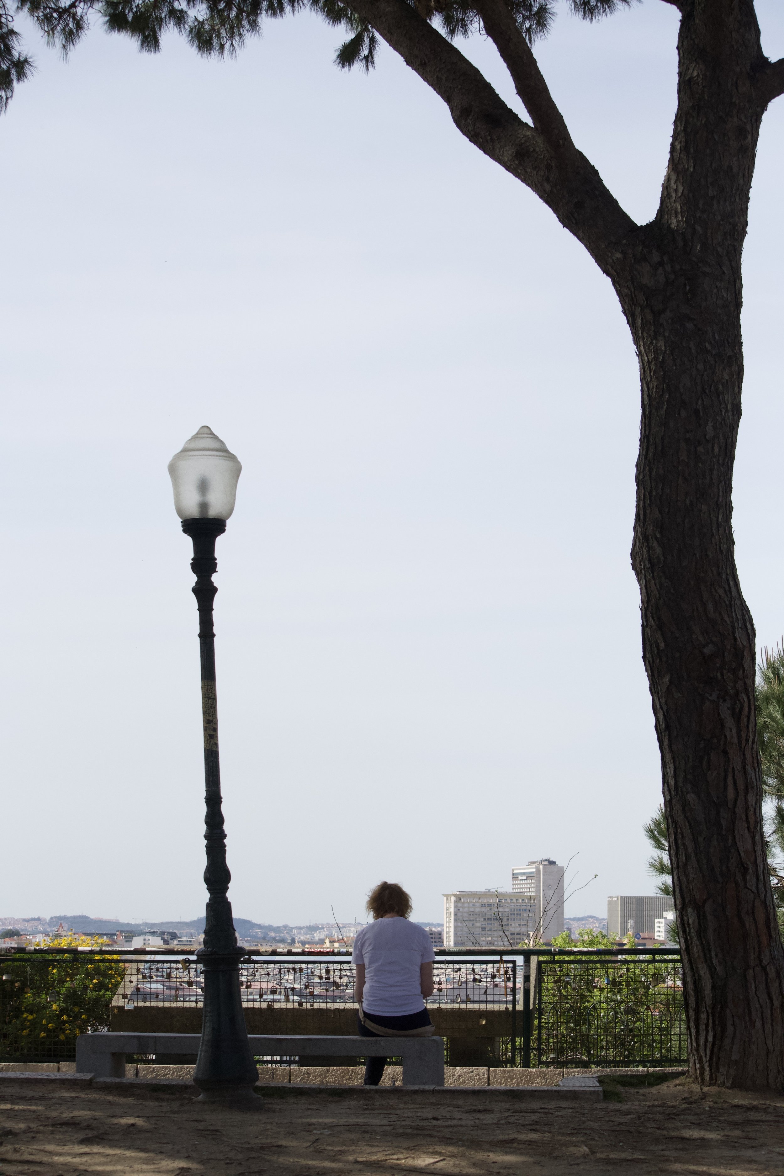DSC_1558.jpeg