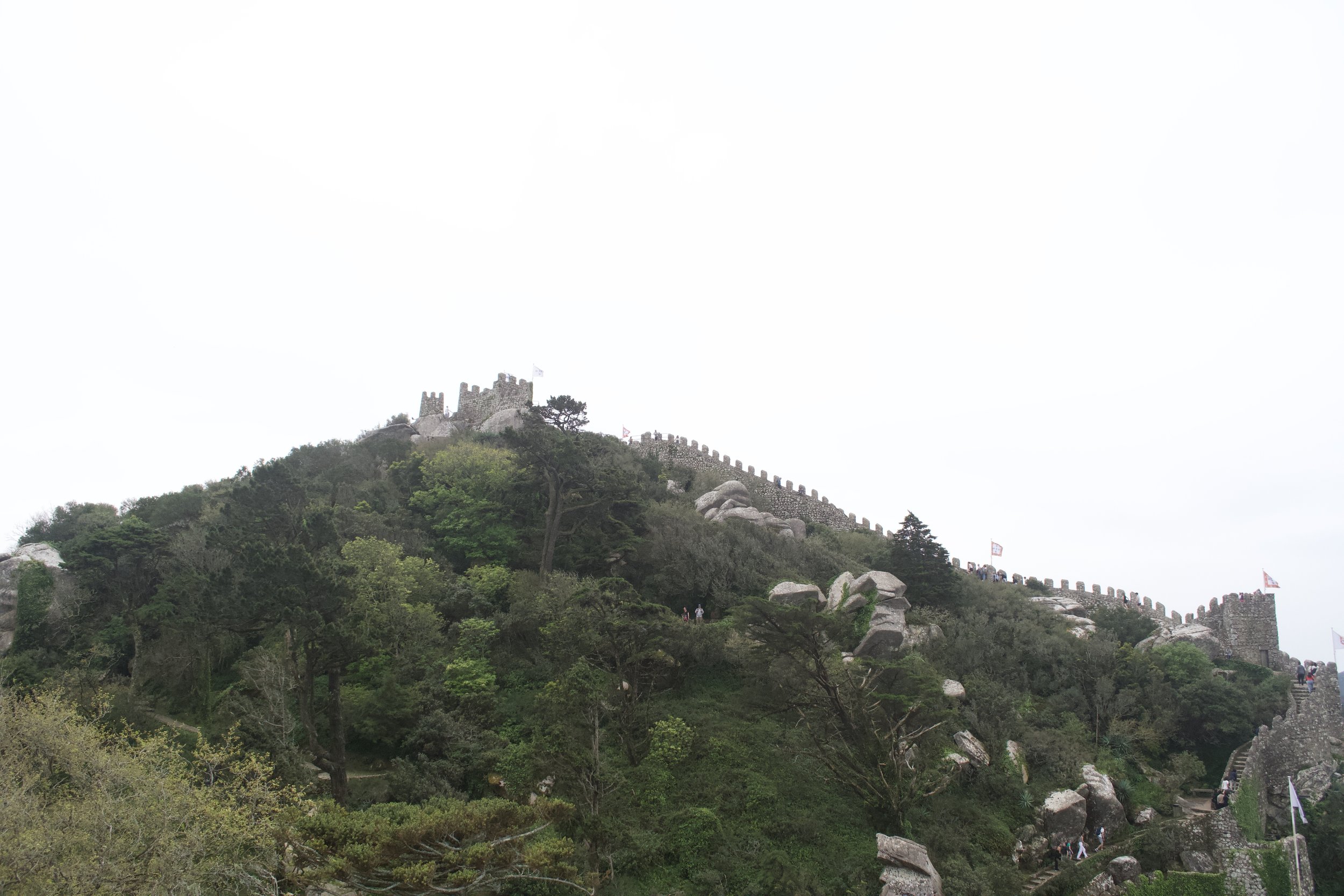 DSC_1582.jpeg