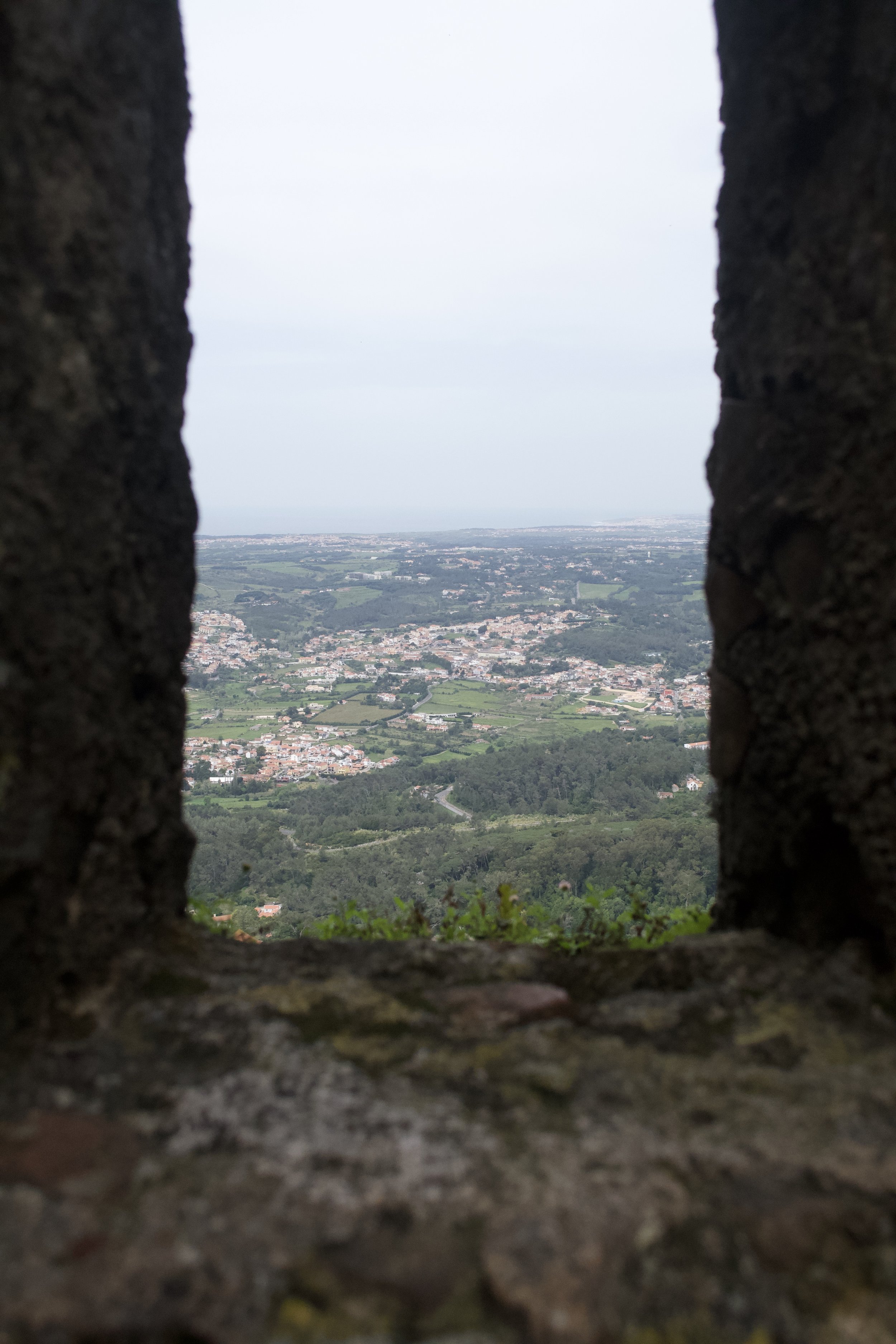 DSC_1592.jpeg