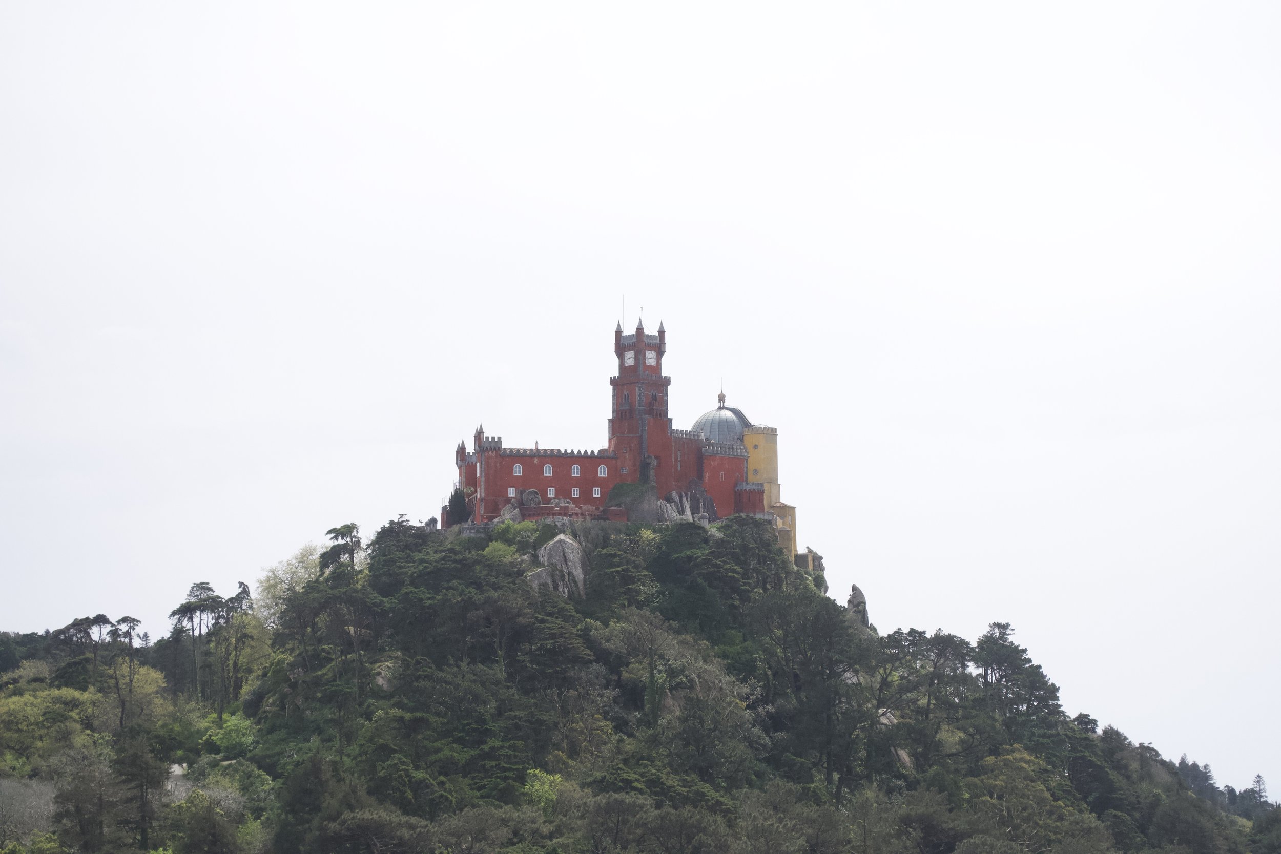 DSC_1616.jpeg