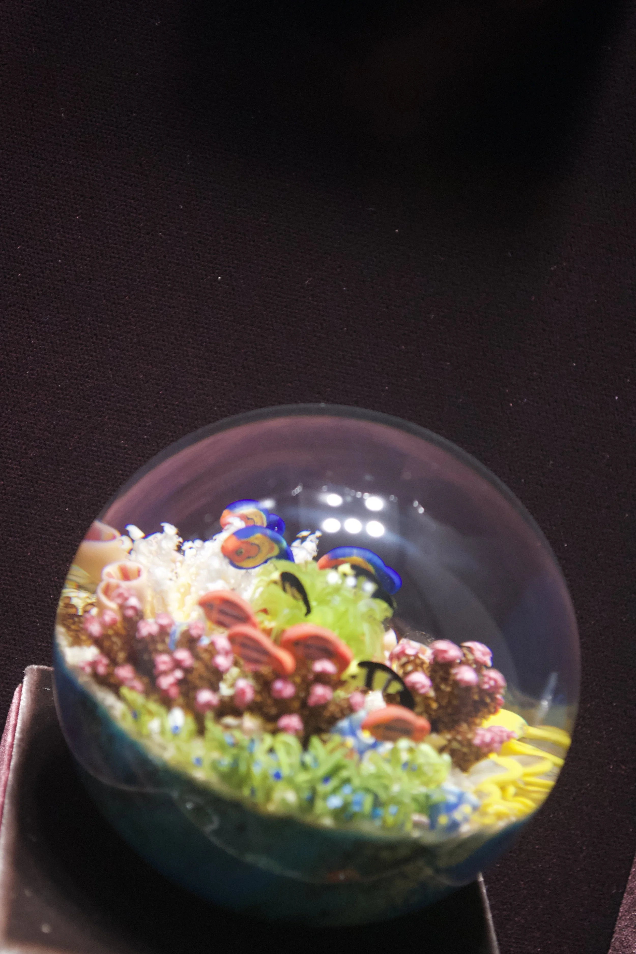 DSC_2206.jpeg