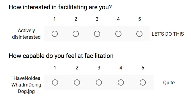 internal facilitation survey screenshot.png