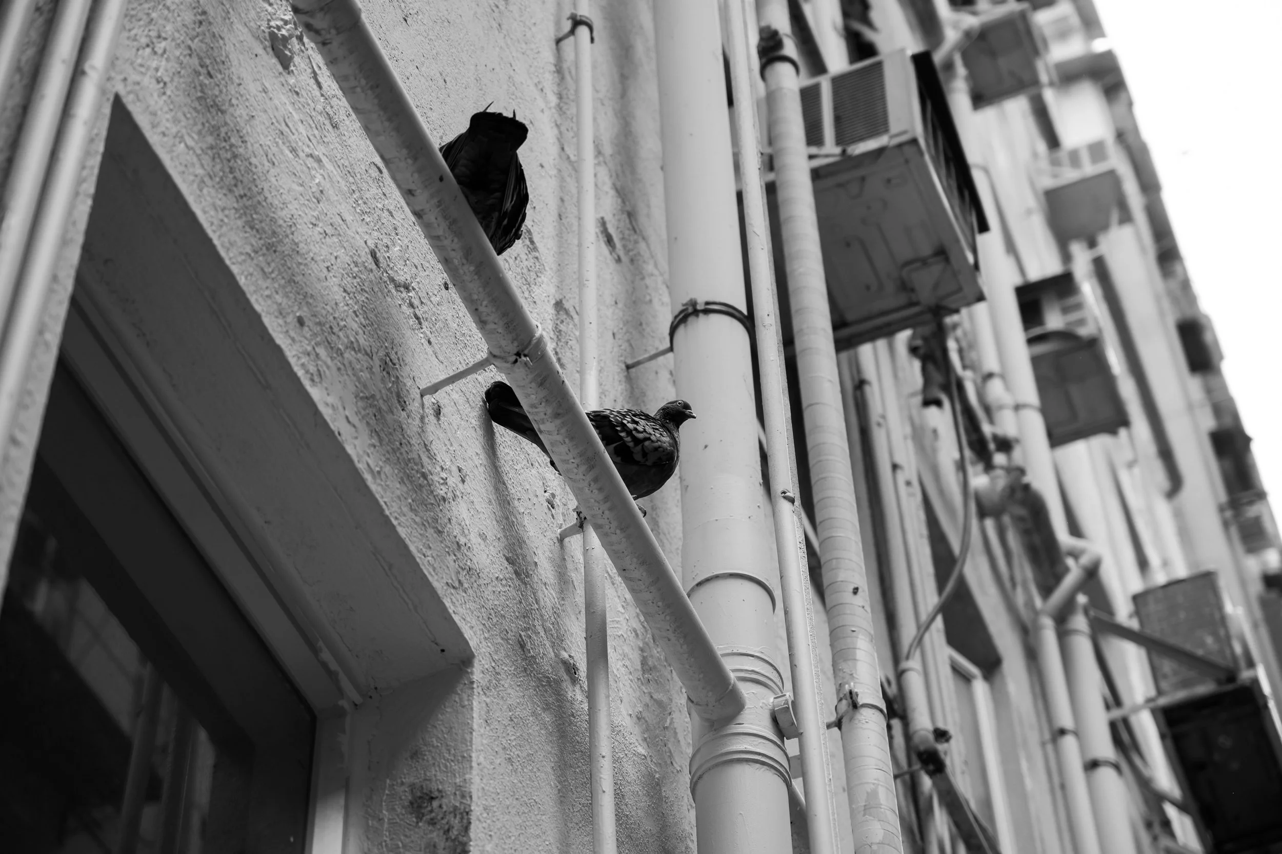 DSC_5570.jpg