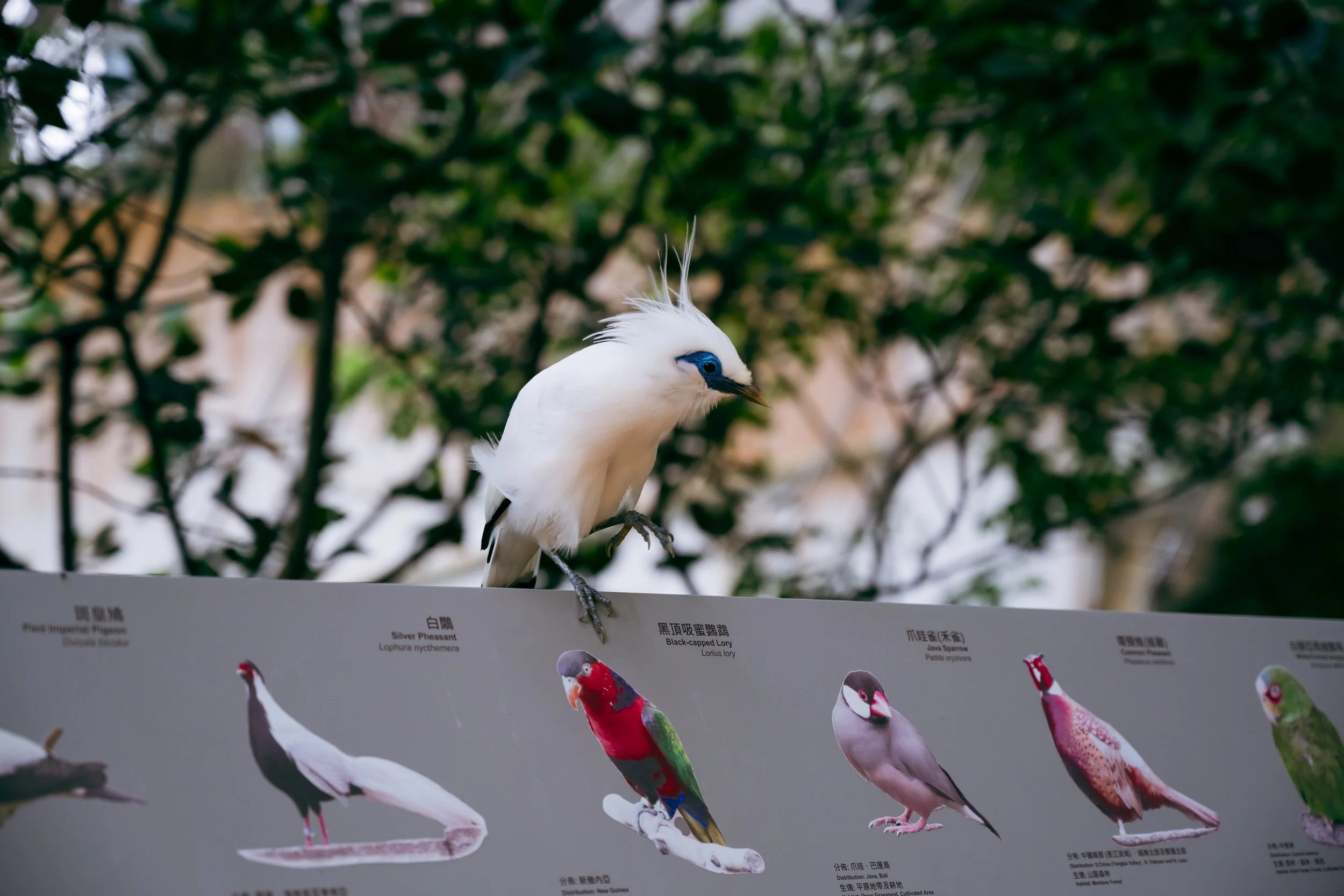DSC_6058.jpg