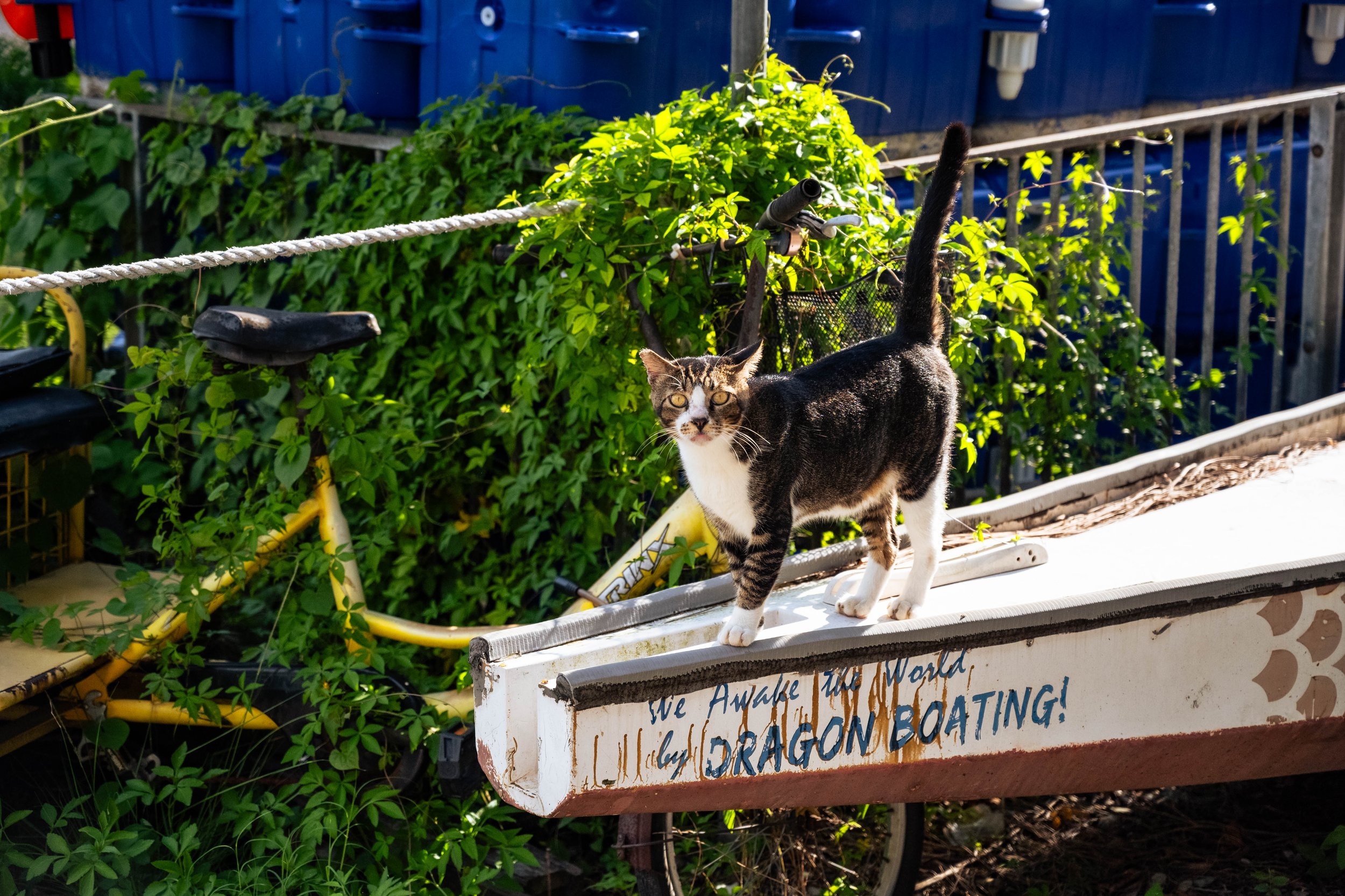 DSC_6916.jpg