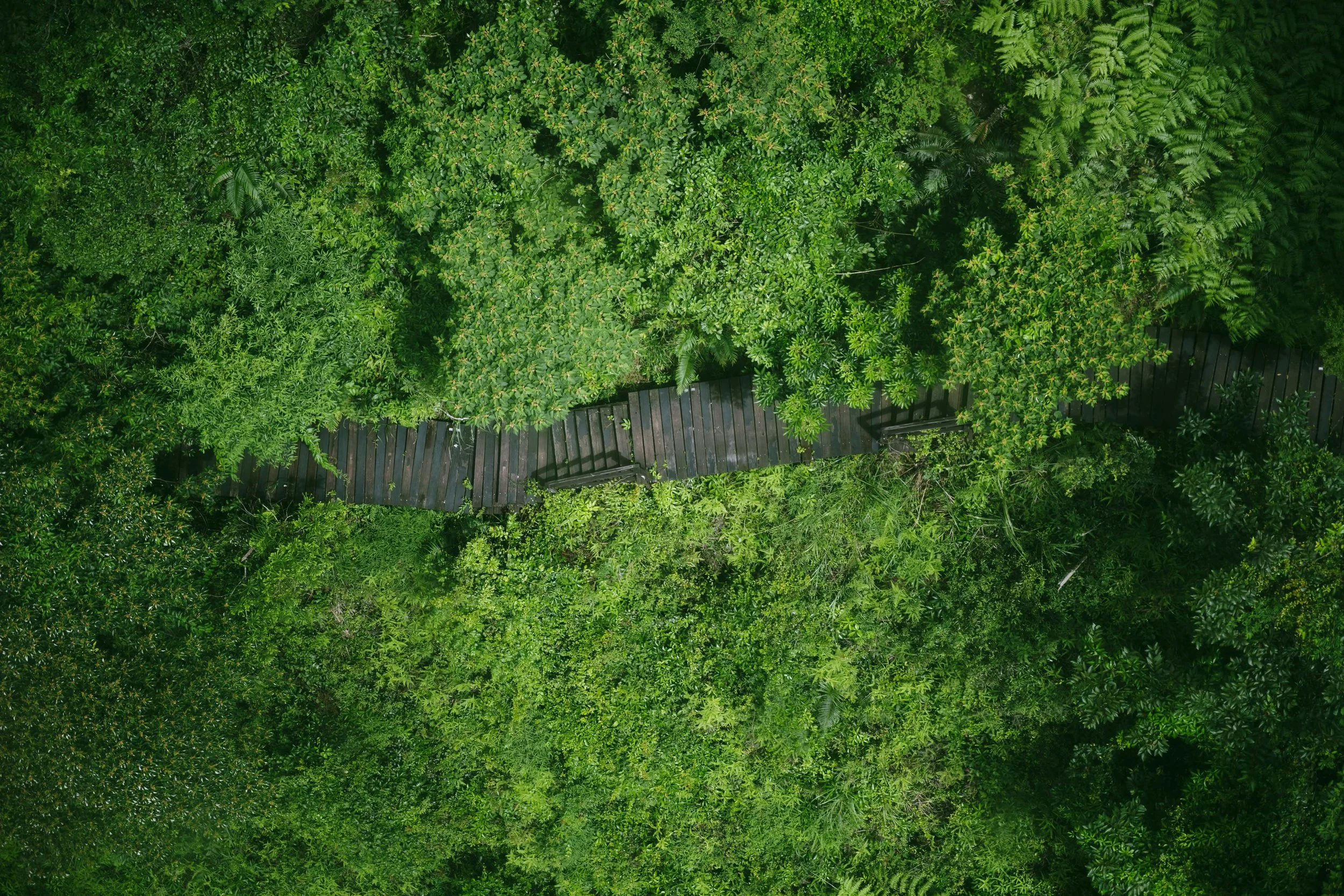 DSC_6686.jpg