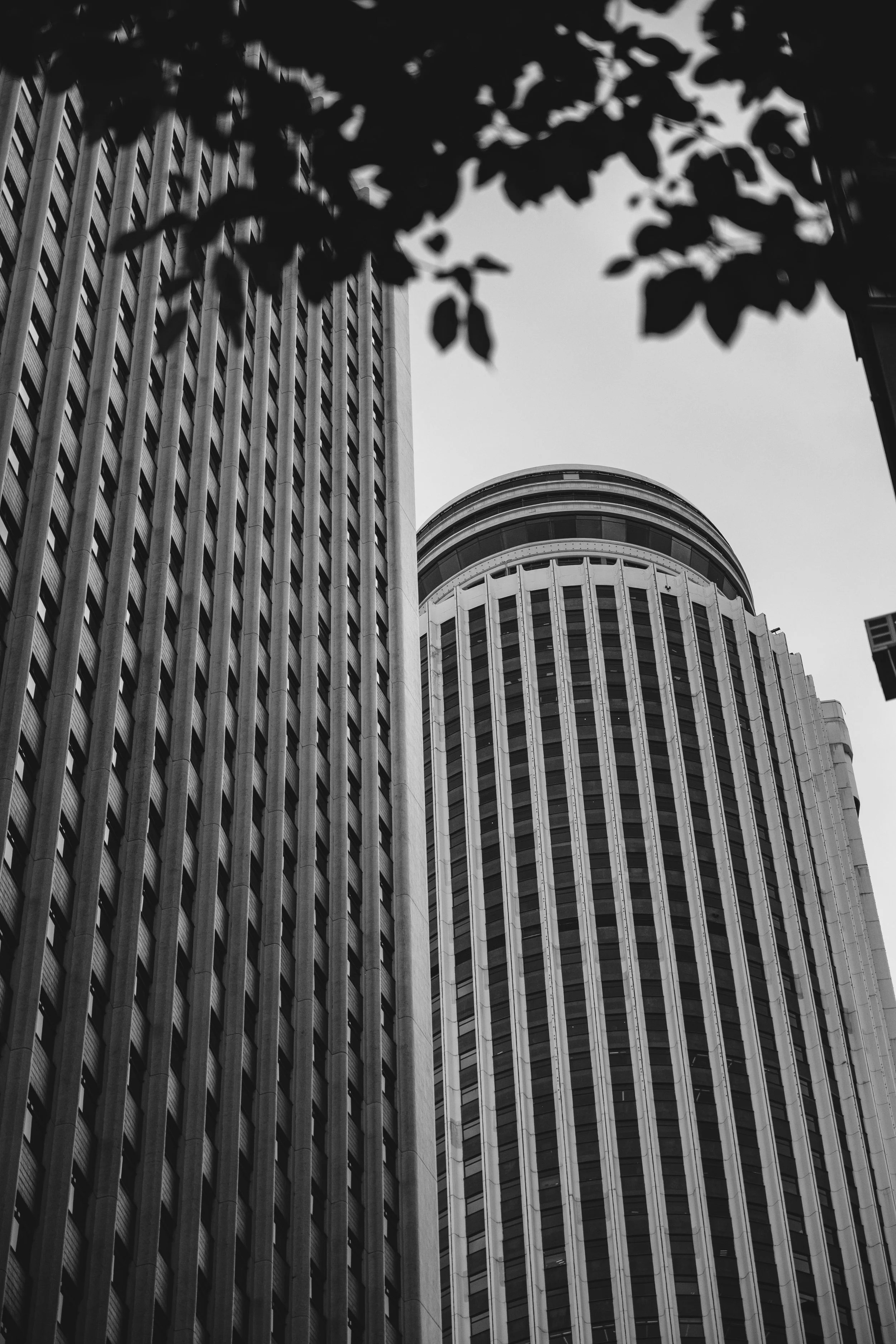 DSC_5914.jpg