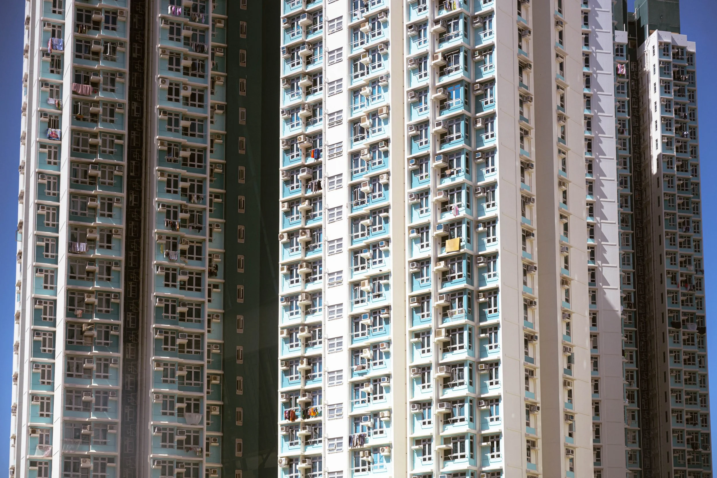 DSC_7962.jpg