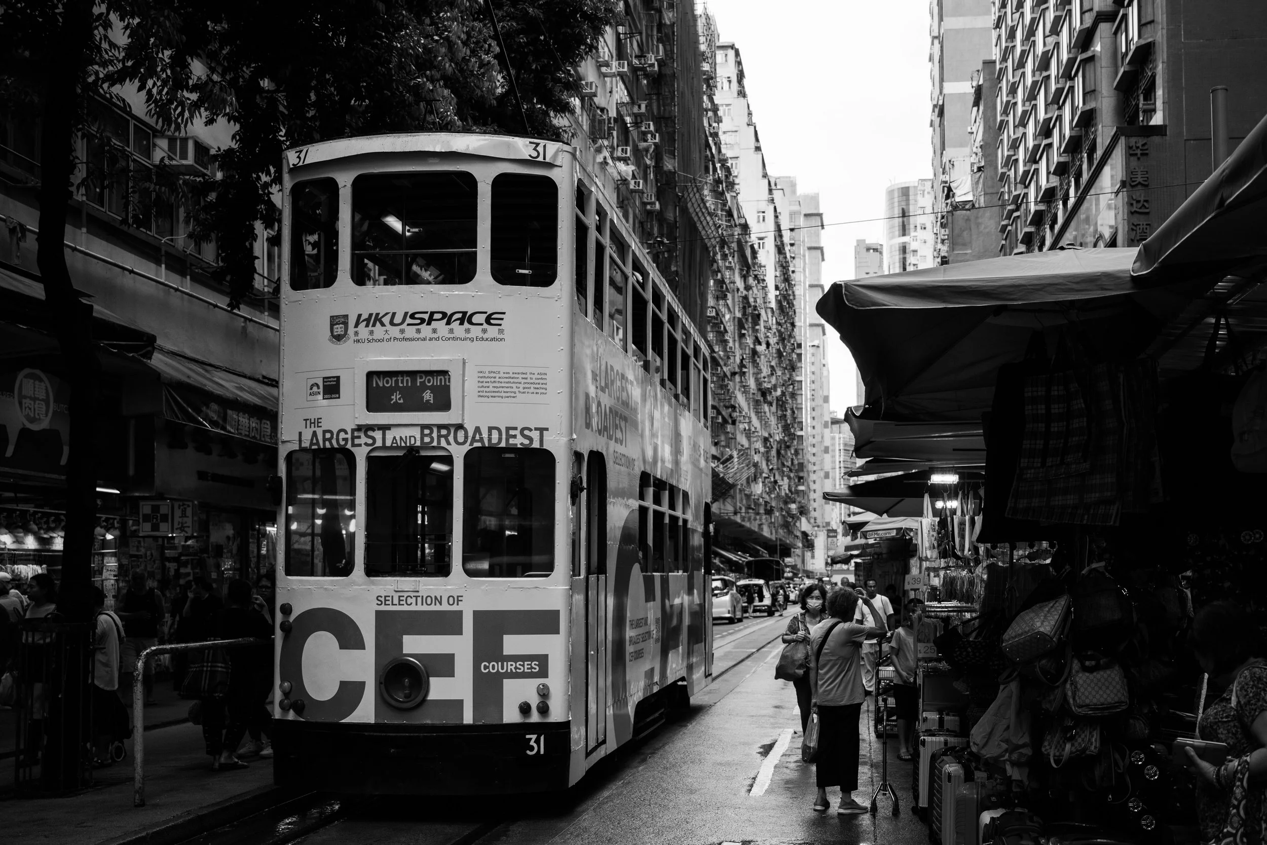 DSC_5617.jpg